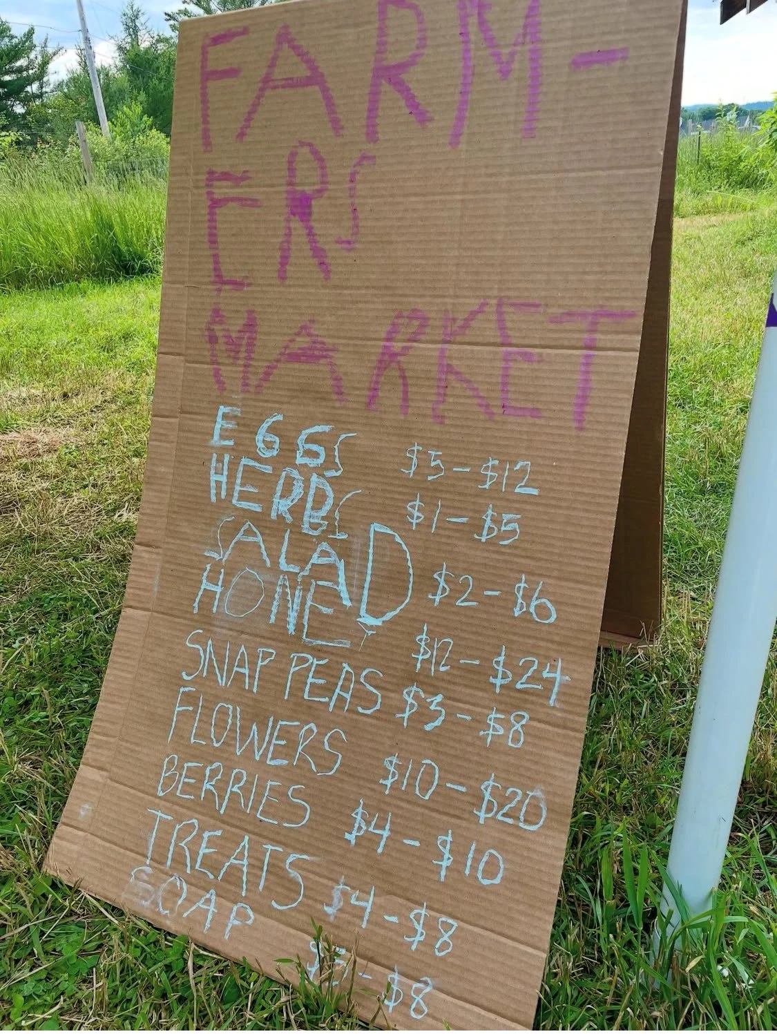 A sign made by a child showcasing the food at the farm market they lead each week.