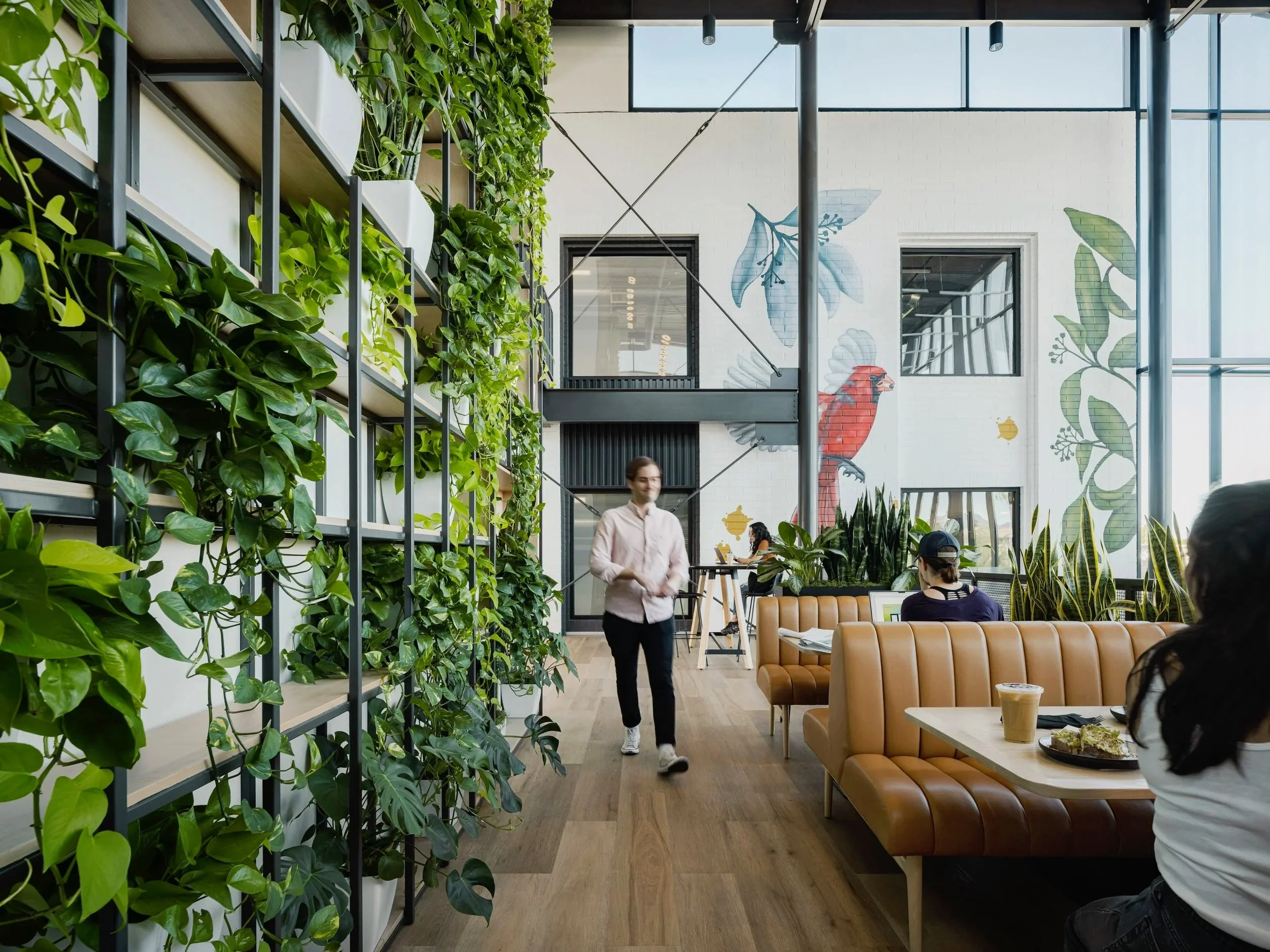 035+Provision+Uptown+-+second+level+plant+wall+and+booths+WEB.jpg