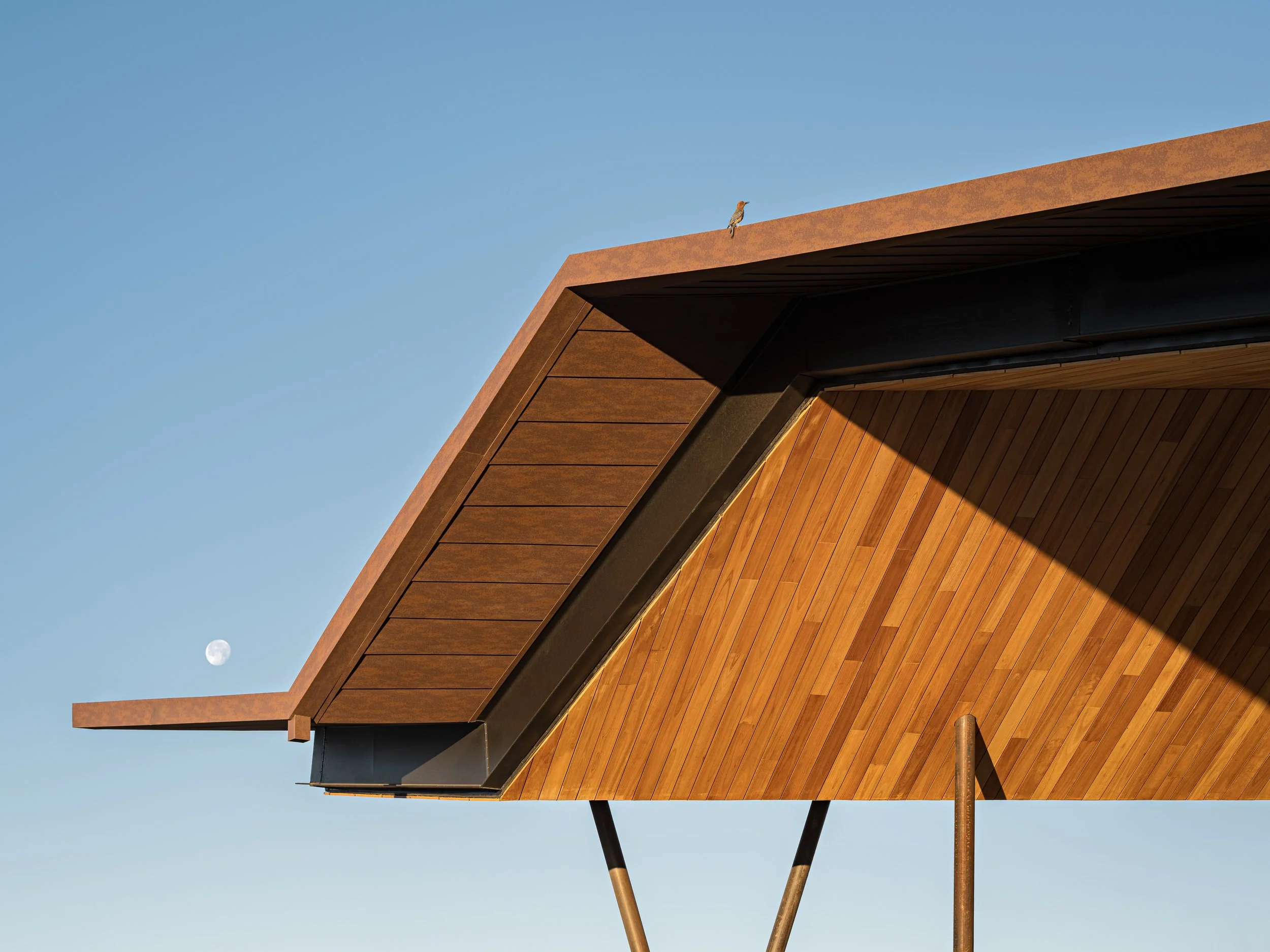 JR08 Richard Kennedy Architects - Gateway Library 5773 WEB.jpg