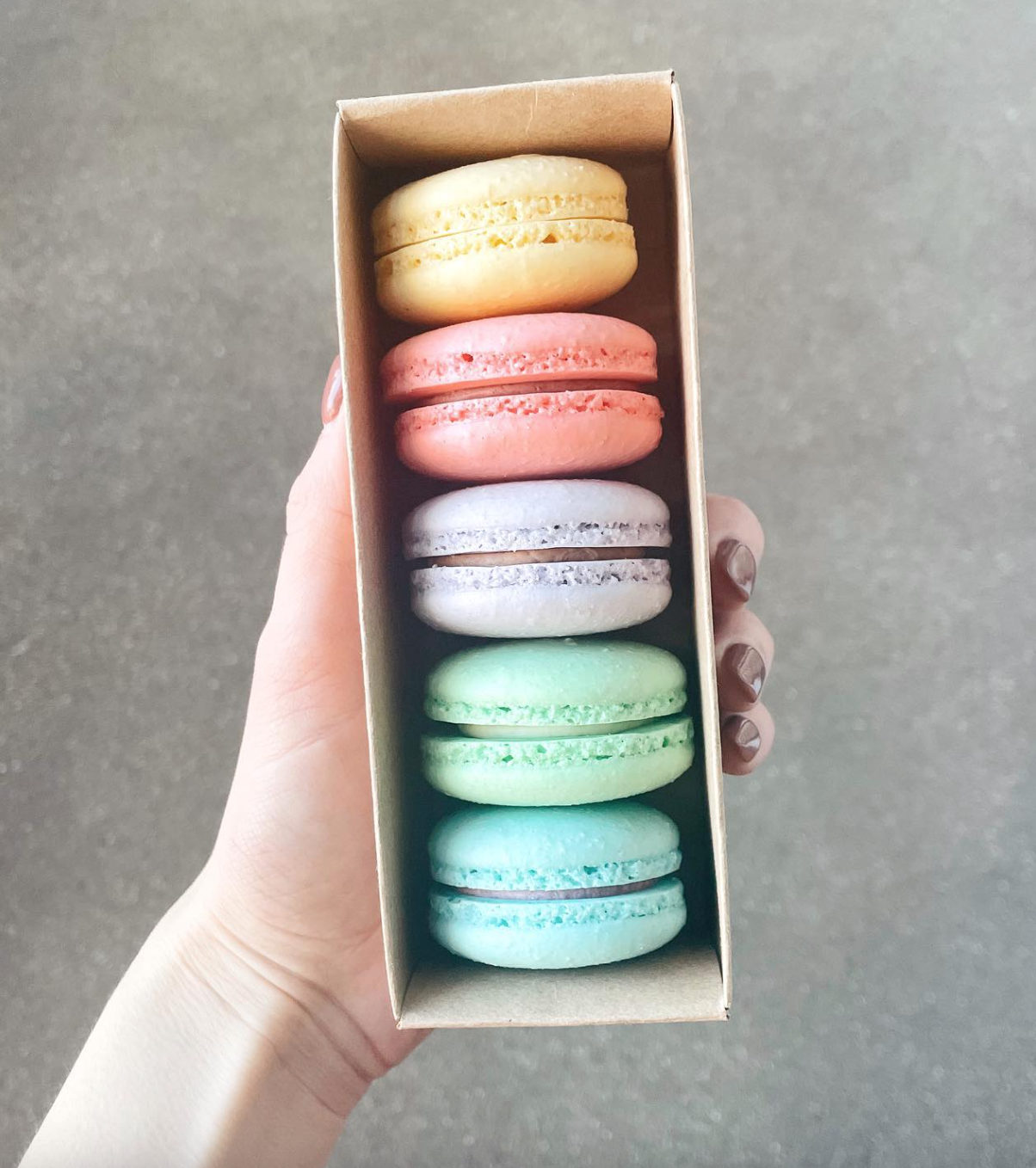 Black Twig Bakery — The Village of Wauwatosa