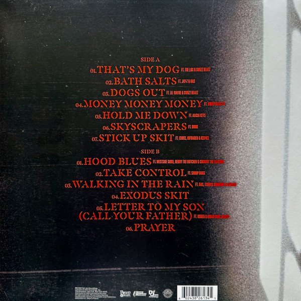 dmx2.jpg