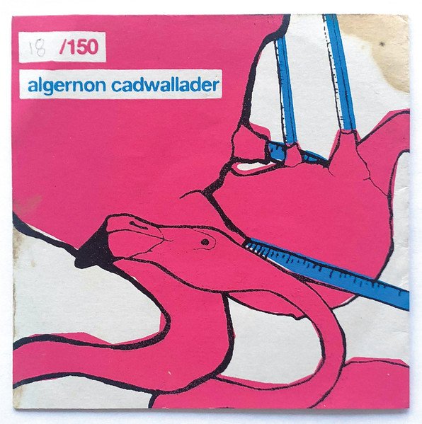 flamingo1.jpg