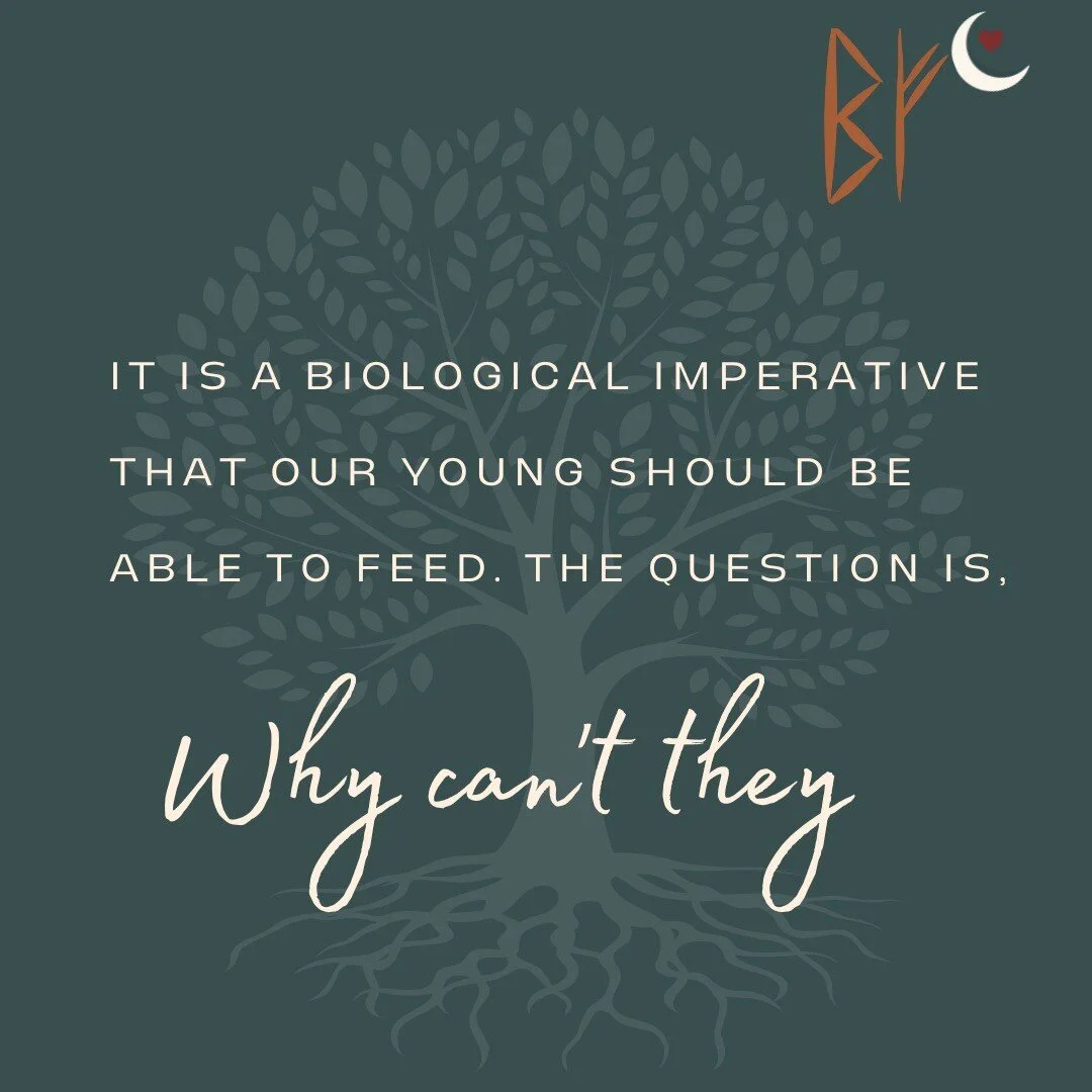 Part One

The other day I was helping a family with a 3 day old feed learn to breastfeed. It was not a victory easily one, a consult that even left me sweating by the end. As we discussed a care plan for this family, the father shyly observed, &ldquo