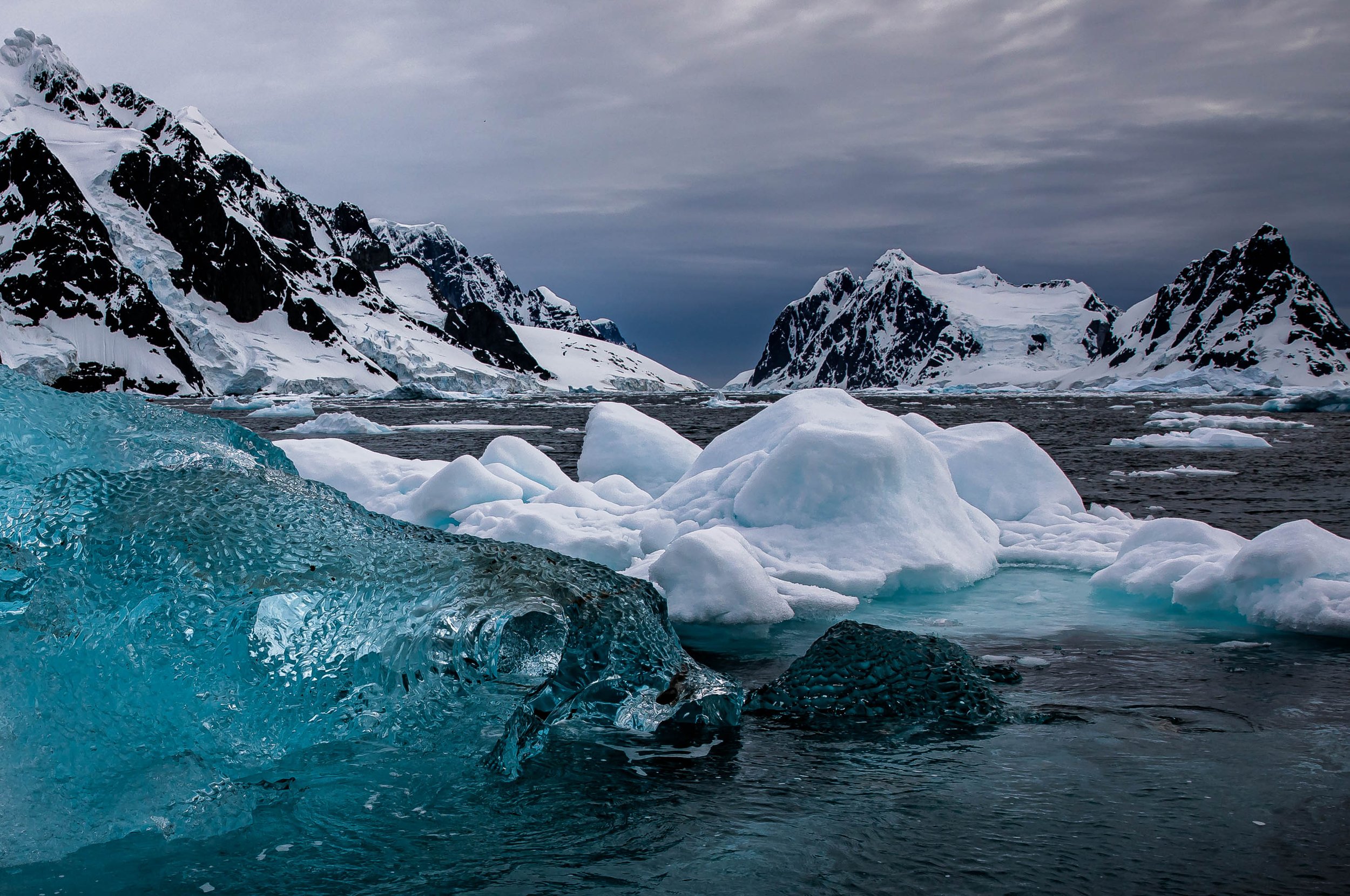 Hidden Mammal,
Lemaire Channel, Antarctic Peninsula