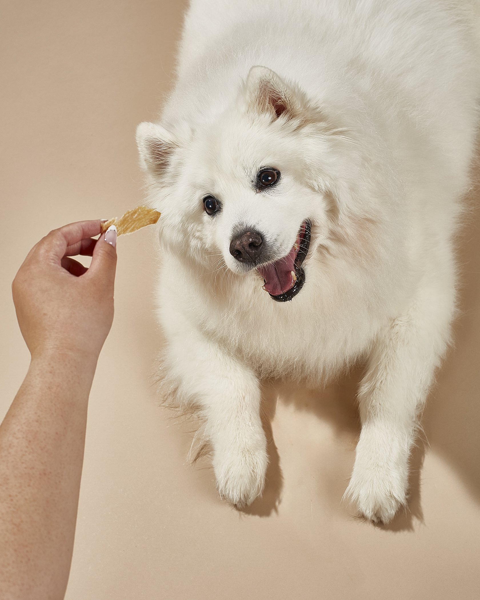 PupsOnSet15541_finsm.jpg