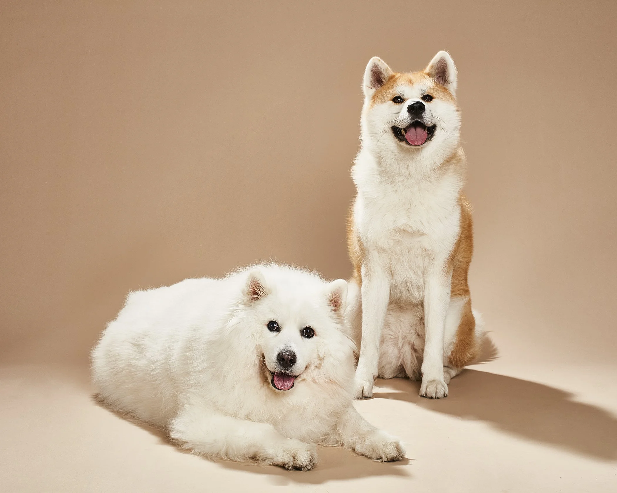 PupsOnSet15825_finSM.jpg