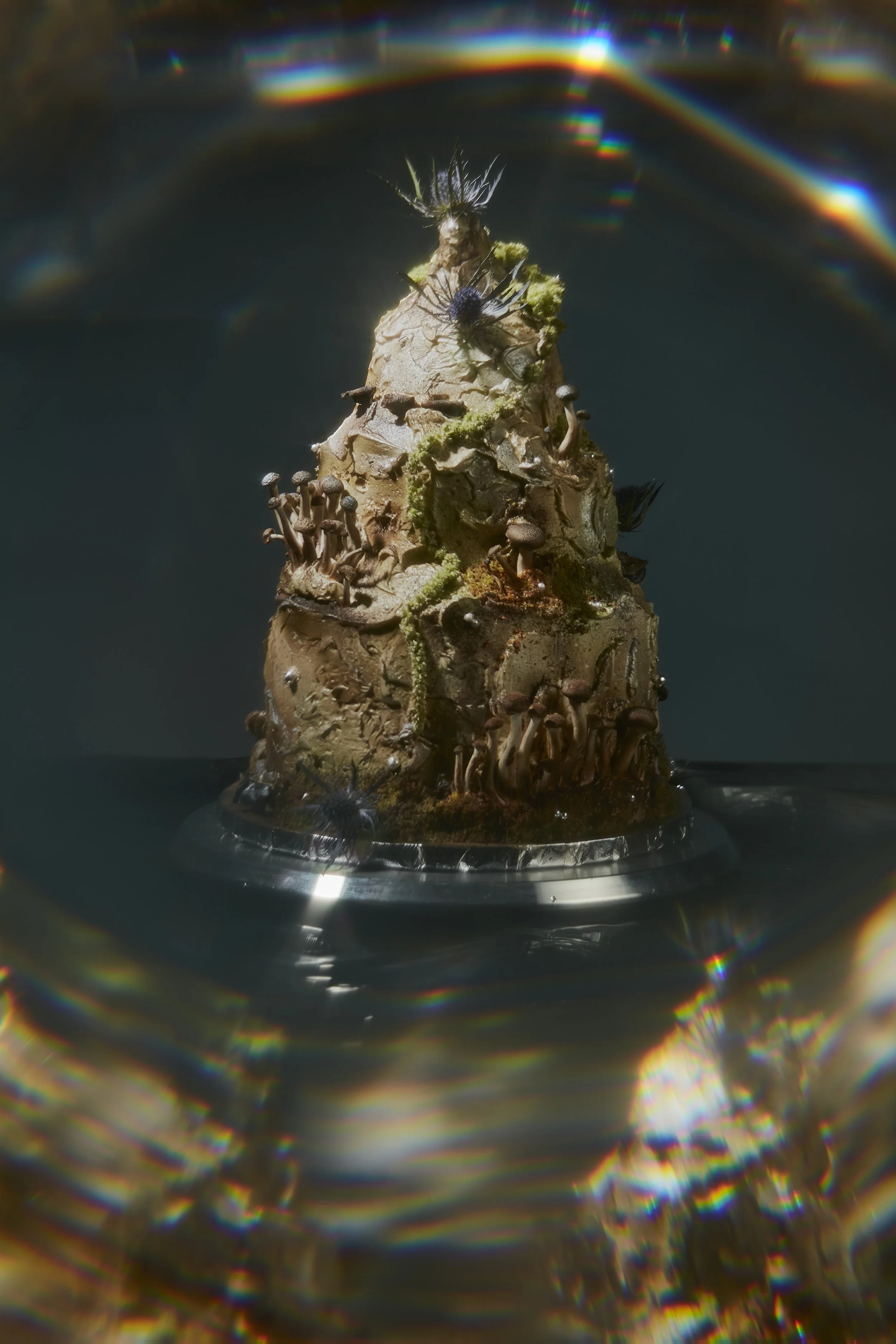 Advertising, studio food and beverage photography made by an all female crew in Los Angeles. Mushroom Cake by Chariot LA.  Welcome to Natalka Studio!