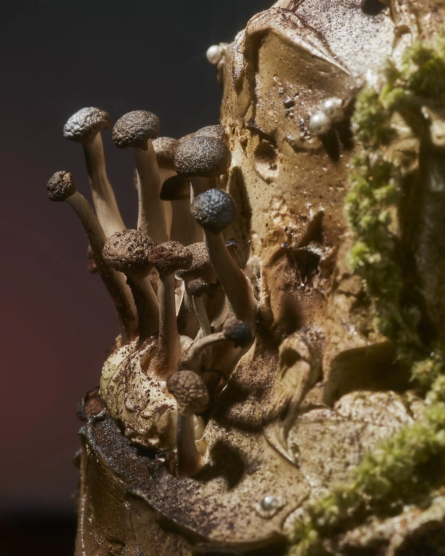 Mushrooms rise form a surreal brown layered cake, the sky behind is red and ominous. Advertising, studio food and beverage photography made by an all female crew in Los Angeles.  