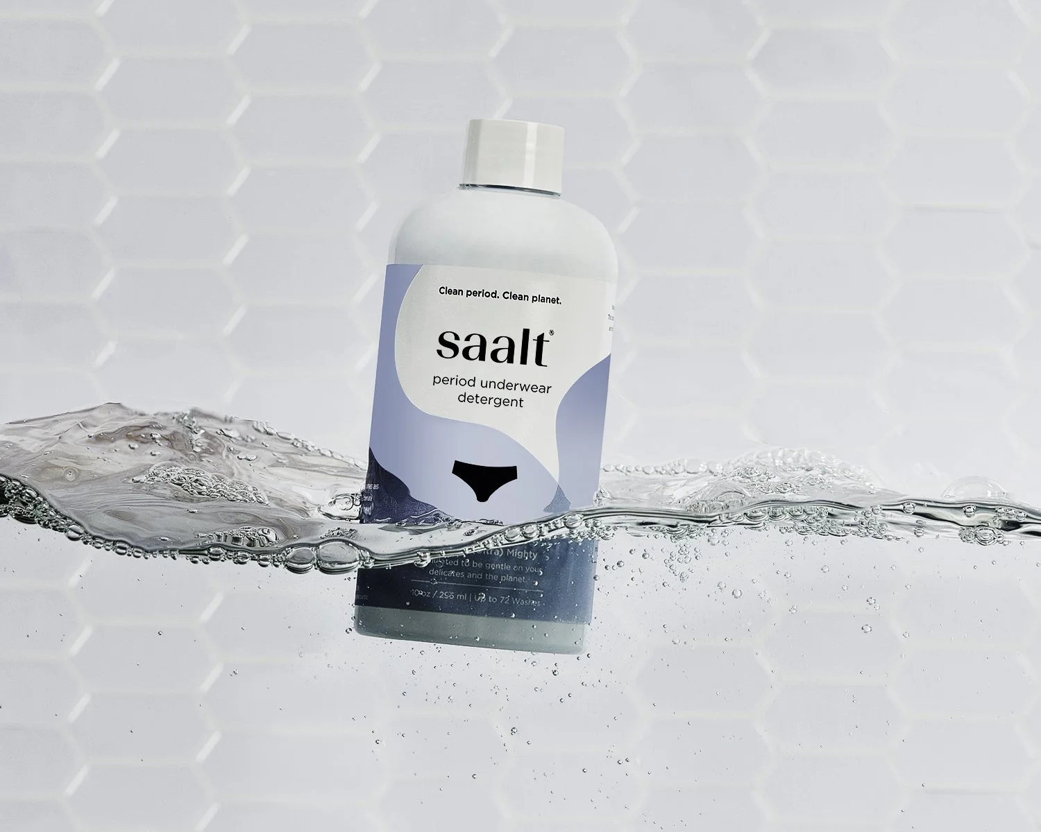 SAALT_21478_Fin.jpg