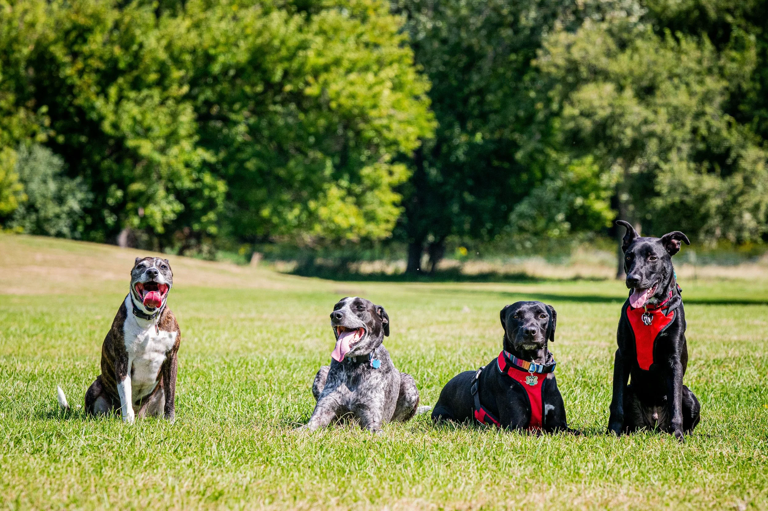 AMVPhotographs.com - AMV_1274.JPG