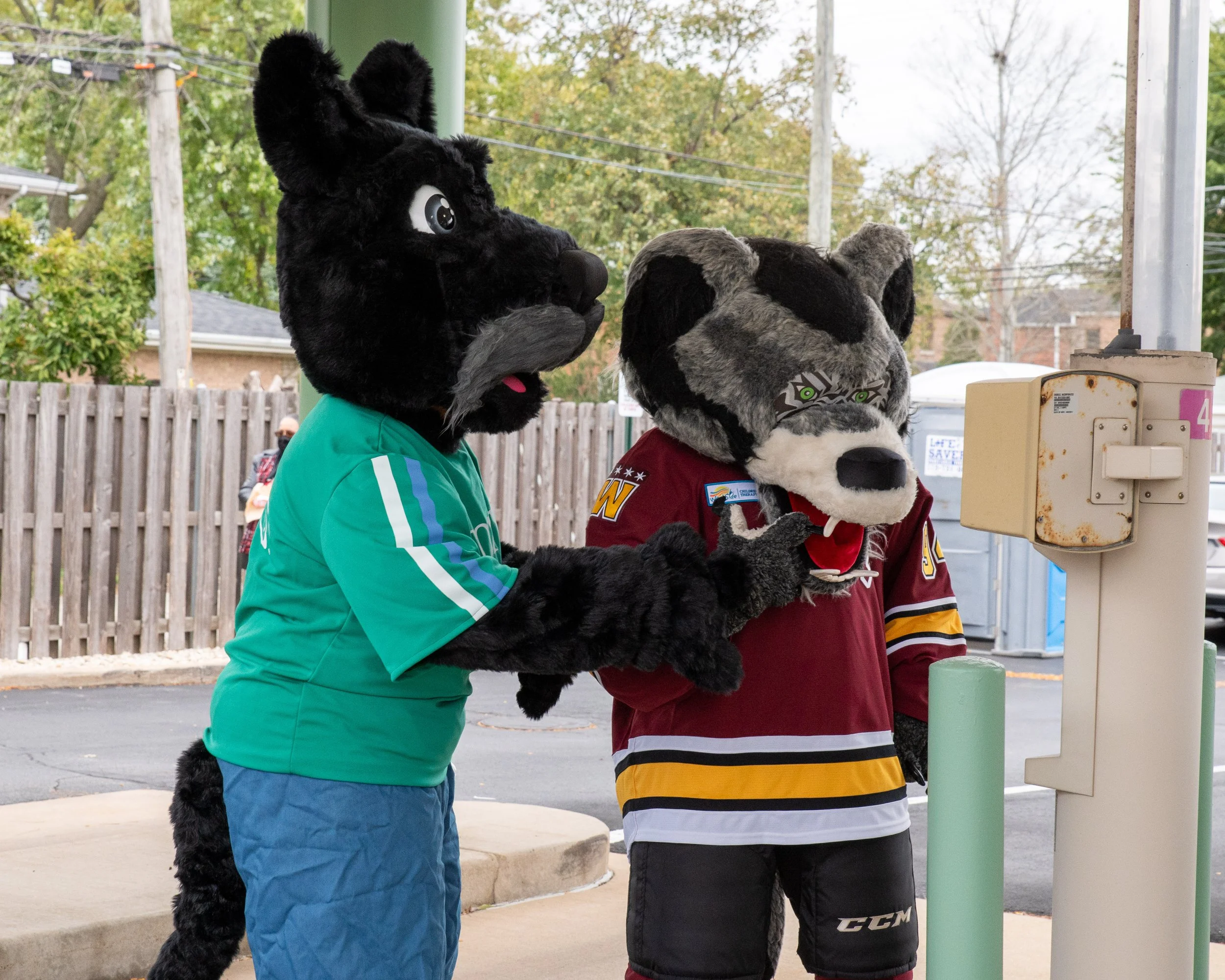 AMVPhotographs.com - AMV_4014.JPG