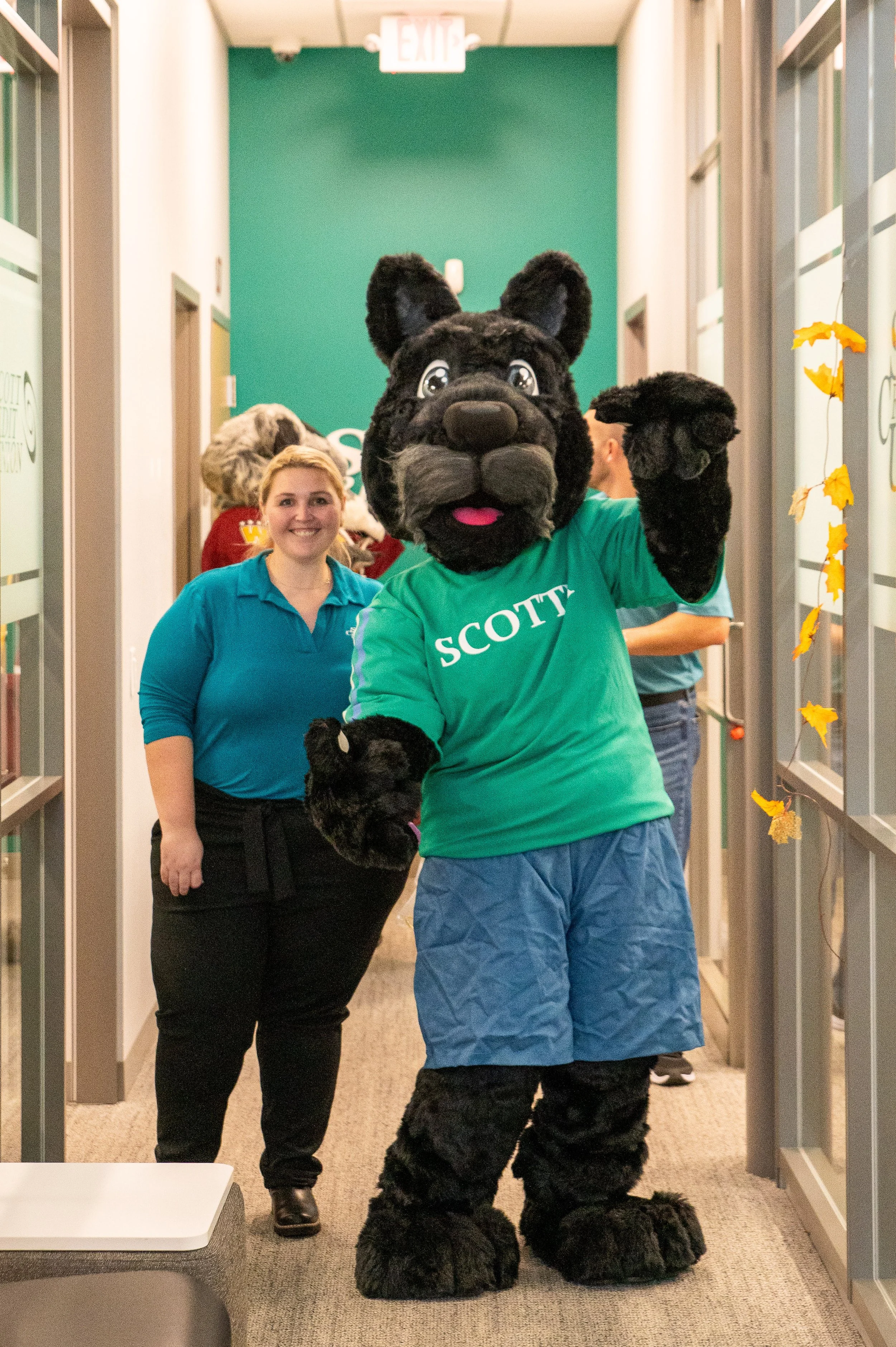 AMVPhotographs.com - AMV_3845.JPG