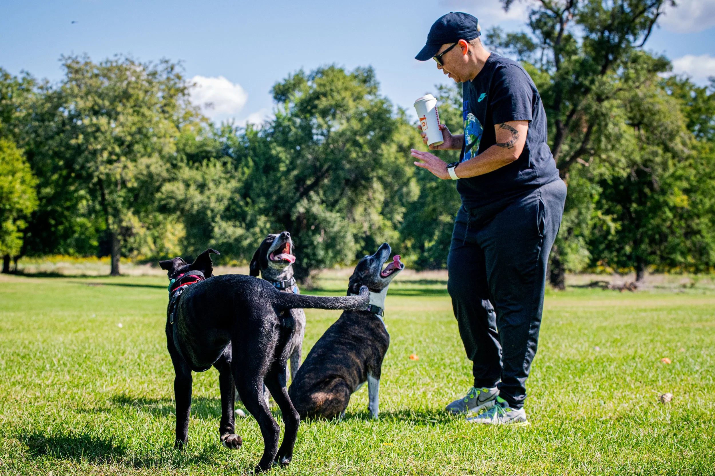 AMVPhotographs.com - AMV_1084.JPG