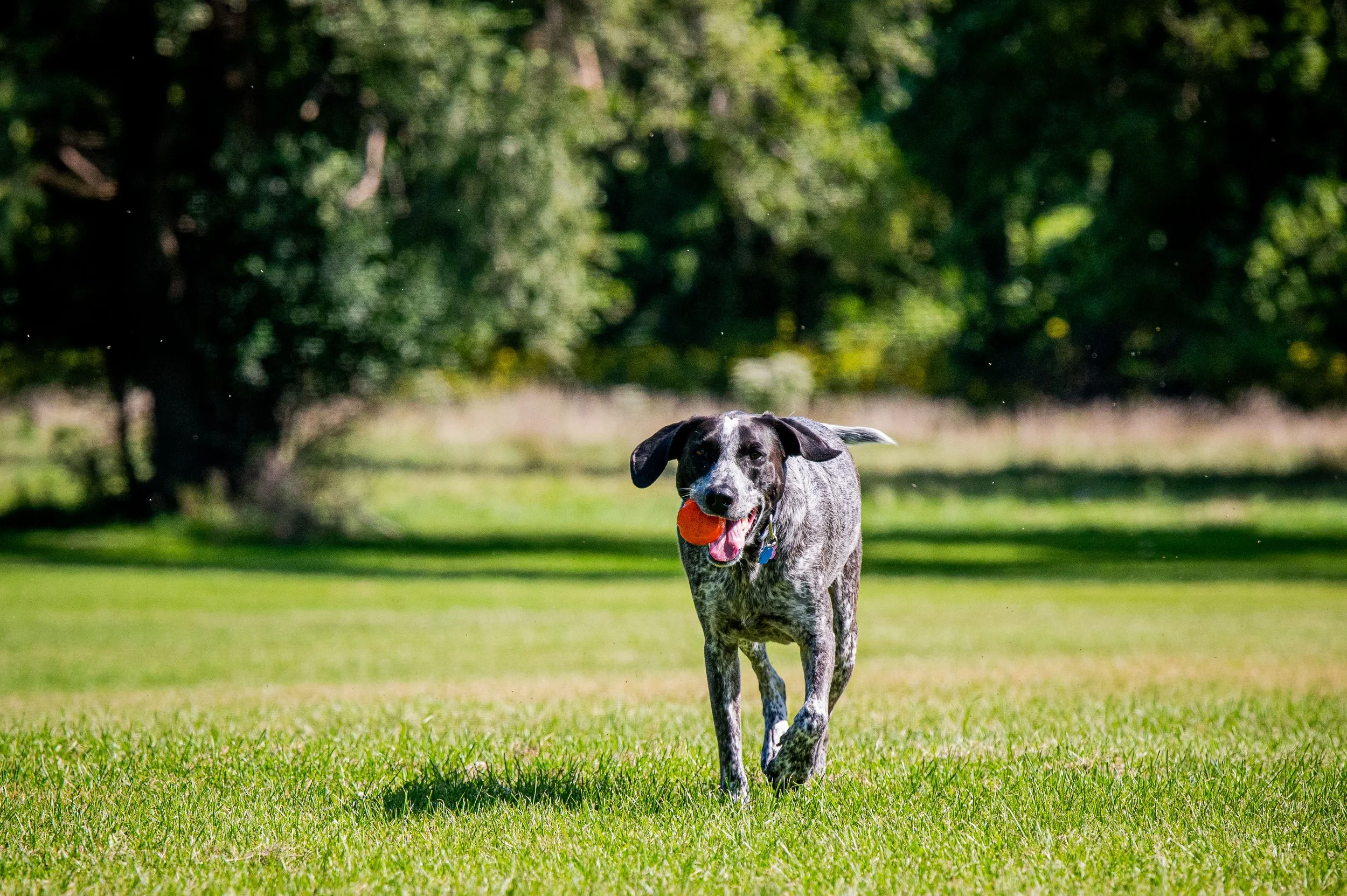 AMVPhotographs.com - AMV_1053.JPG