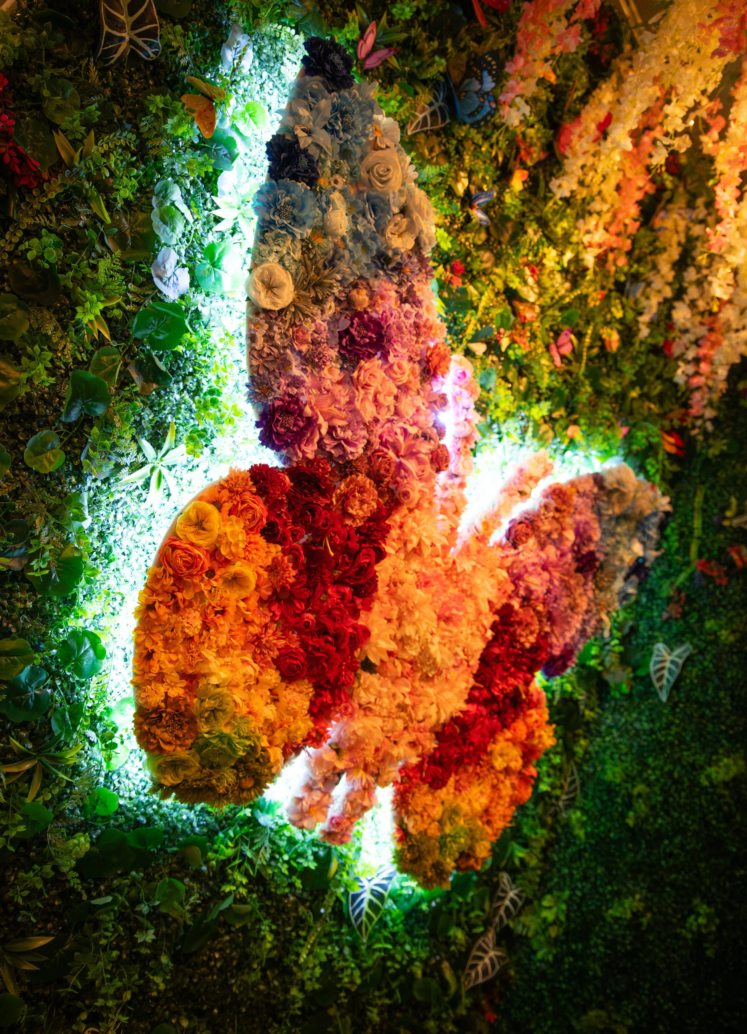 AMVphotographs.com - AMV_3994.JPG