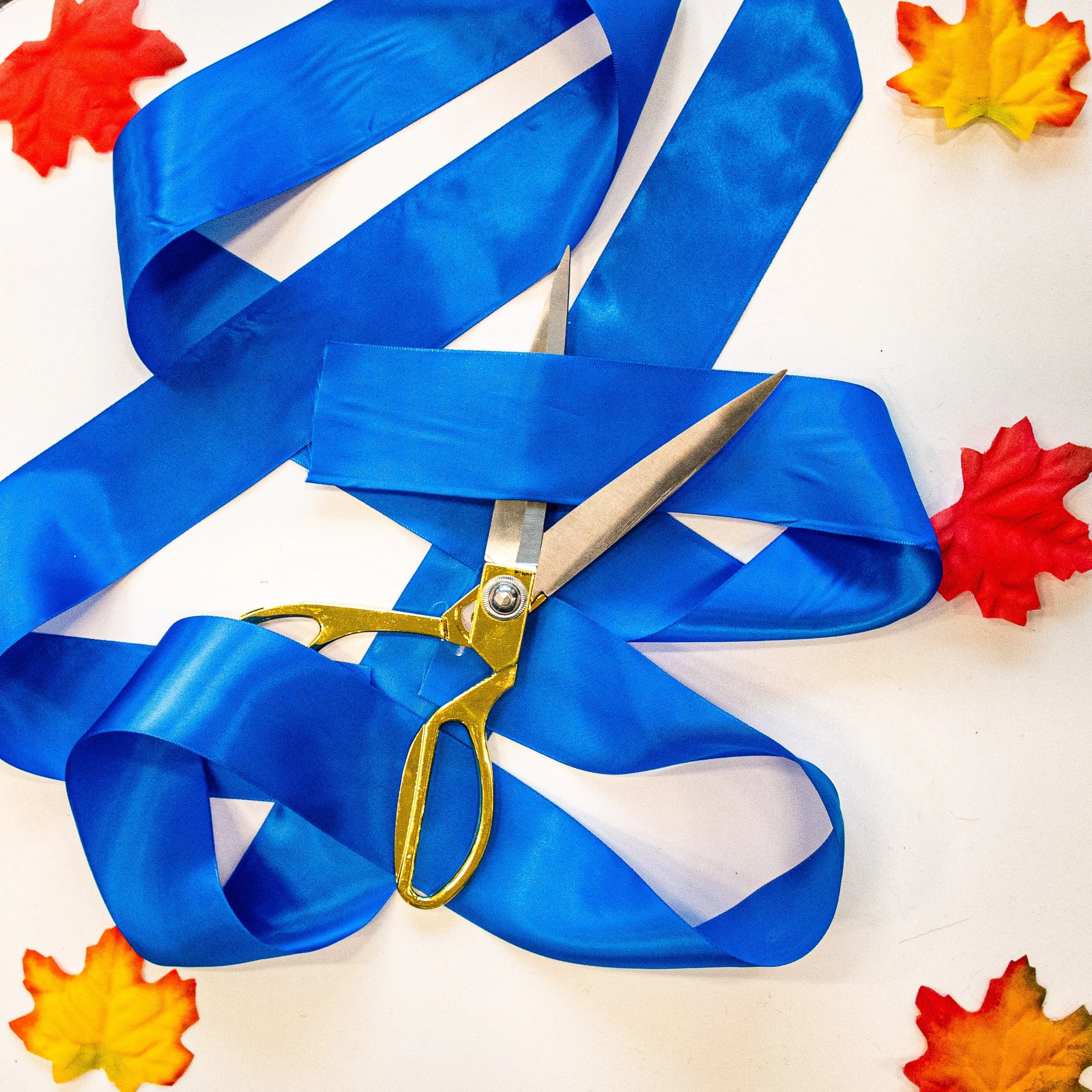 AMVPhotographs.com - AMV_4389.JPG