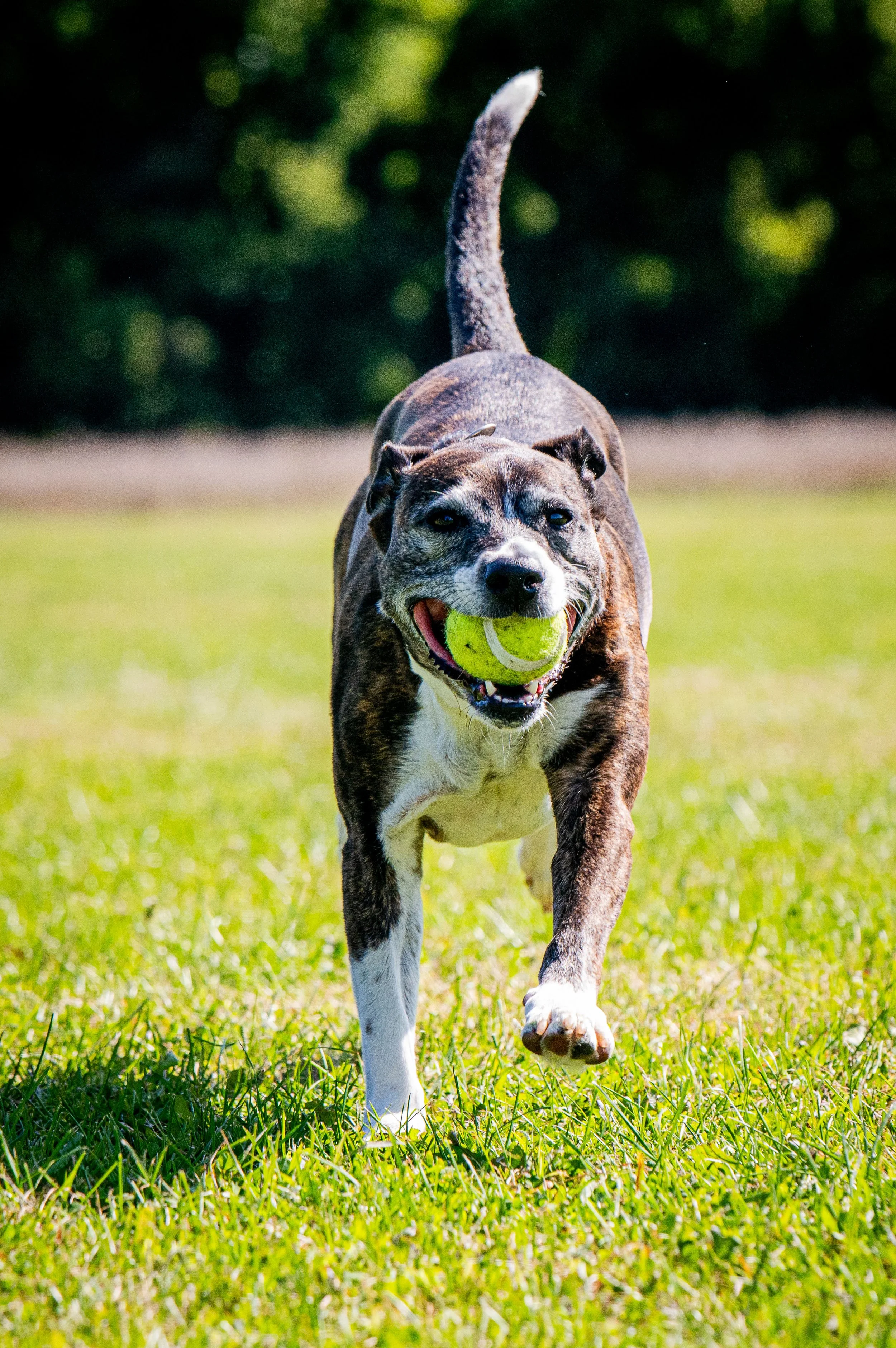 AMVPhotographs.com - AMV_1007.JPG