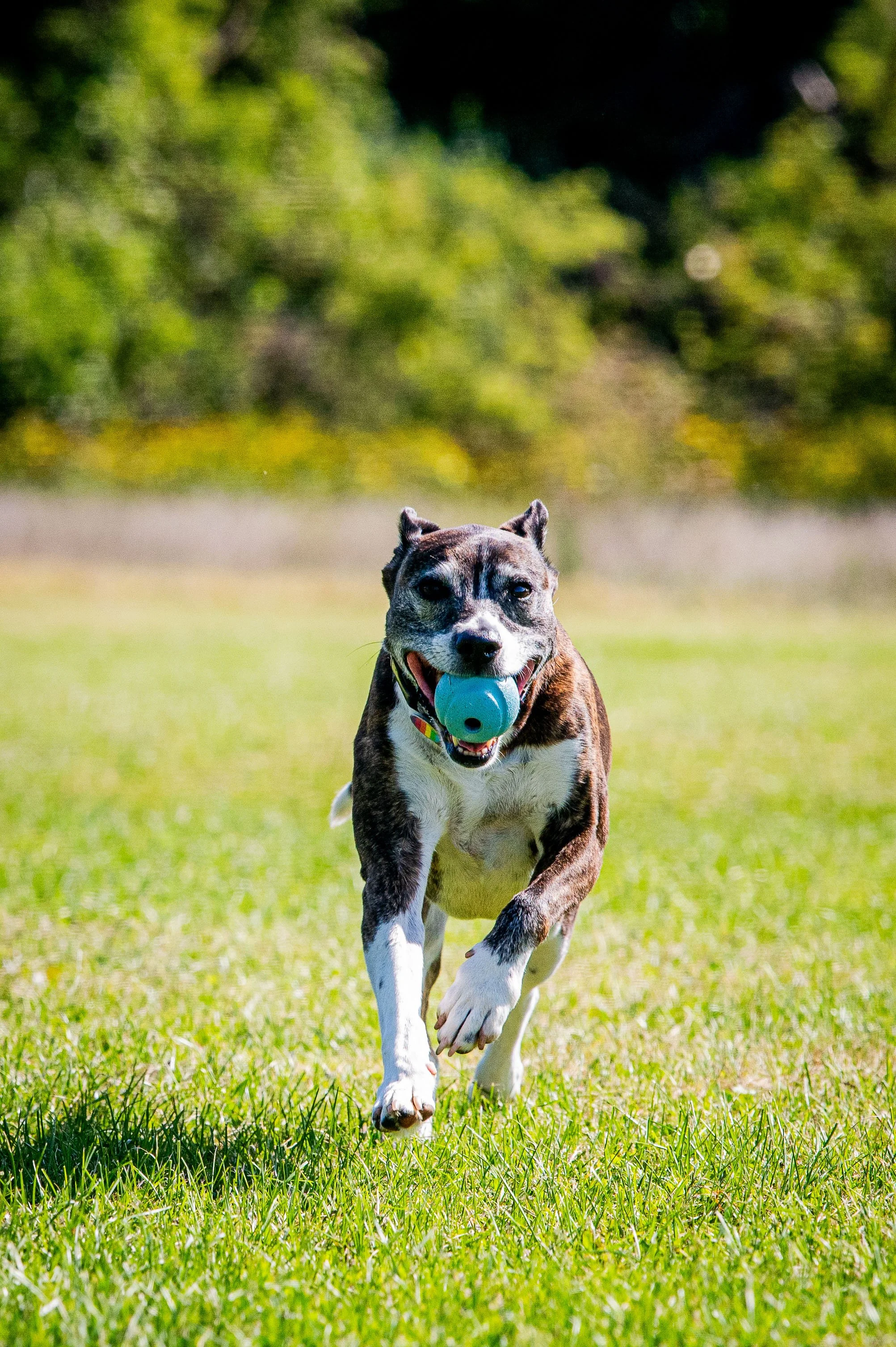 AMVPhotographs.com - AMV_0947.JPG