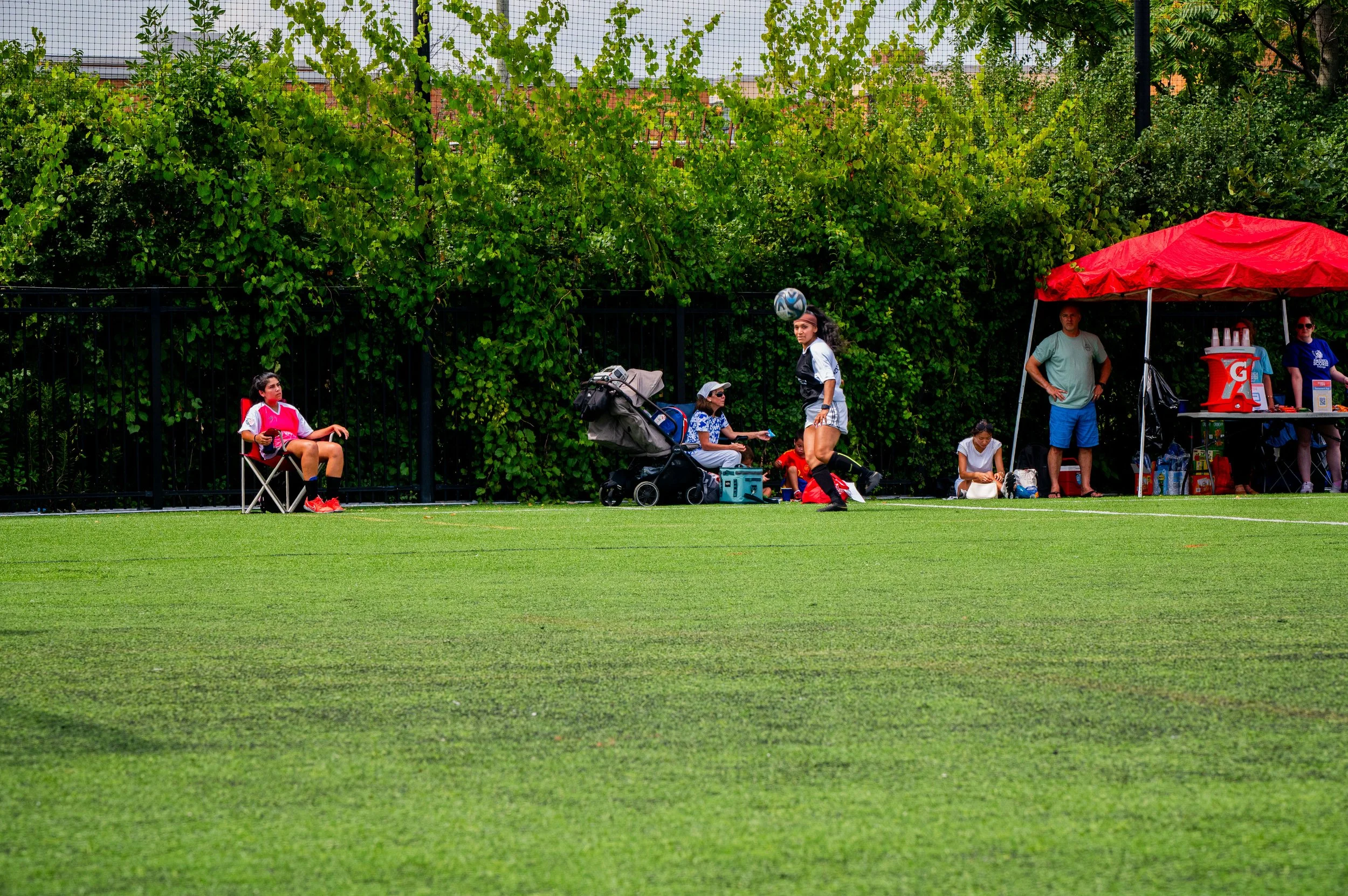 AMVPhotographs.com - AMV_6447.JPG