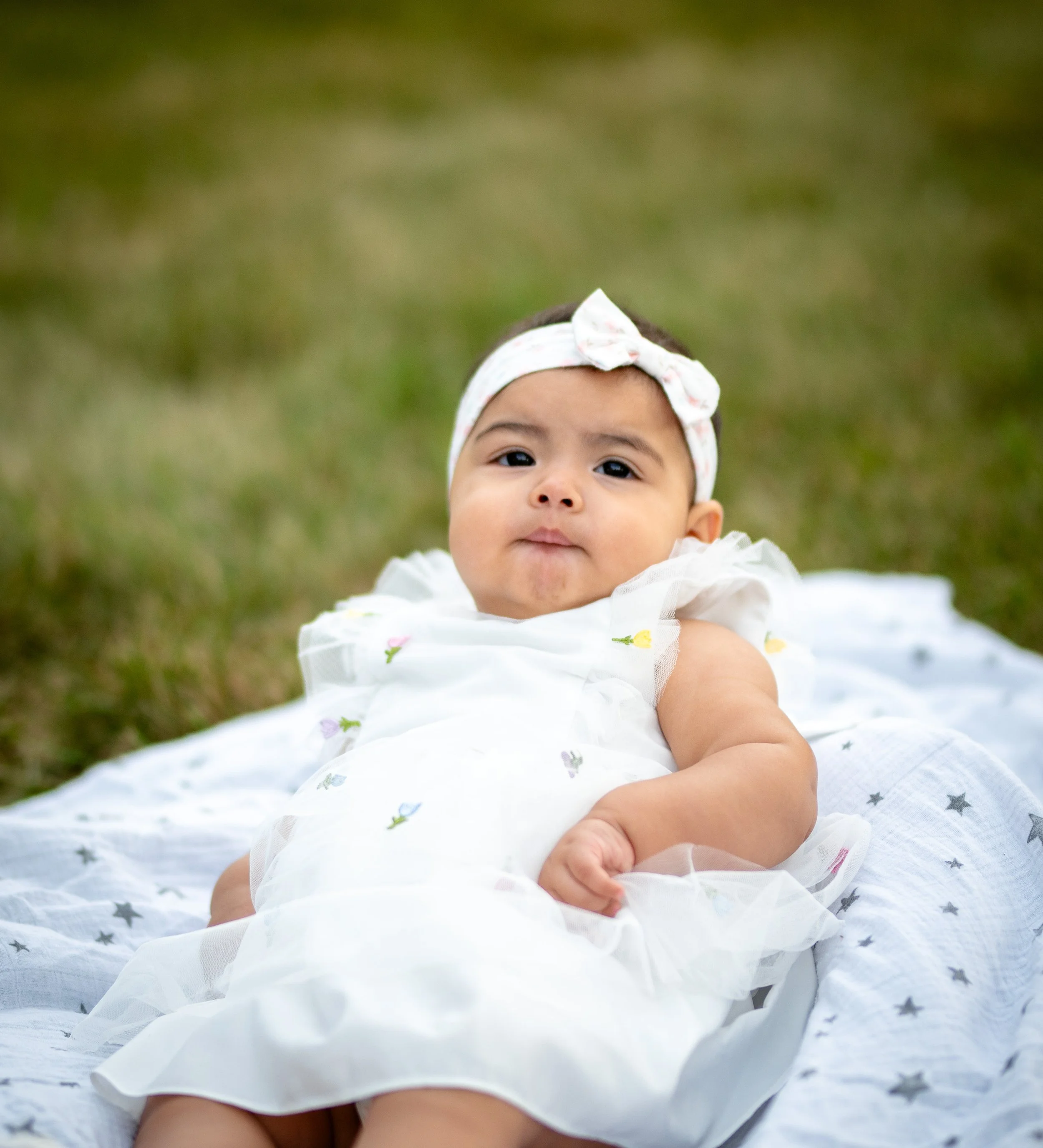 AMVphotographs.com - AMV_4931.JPG