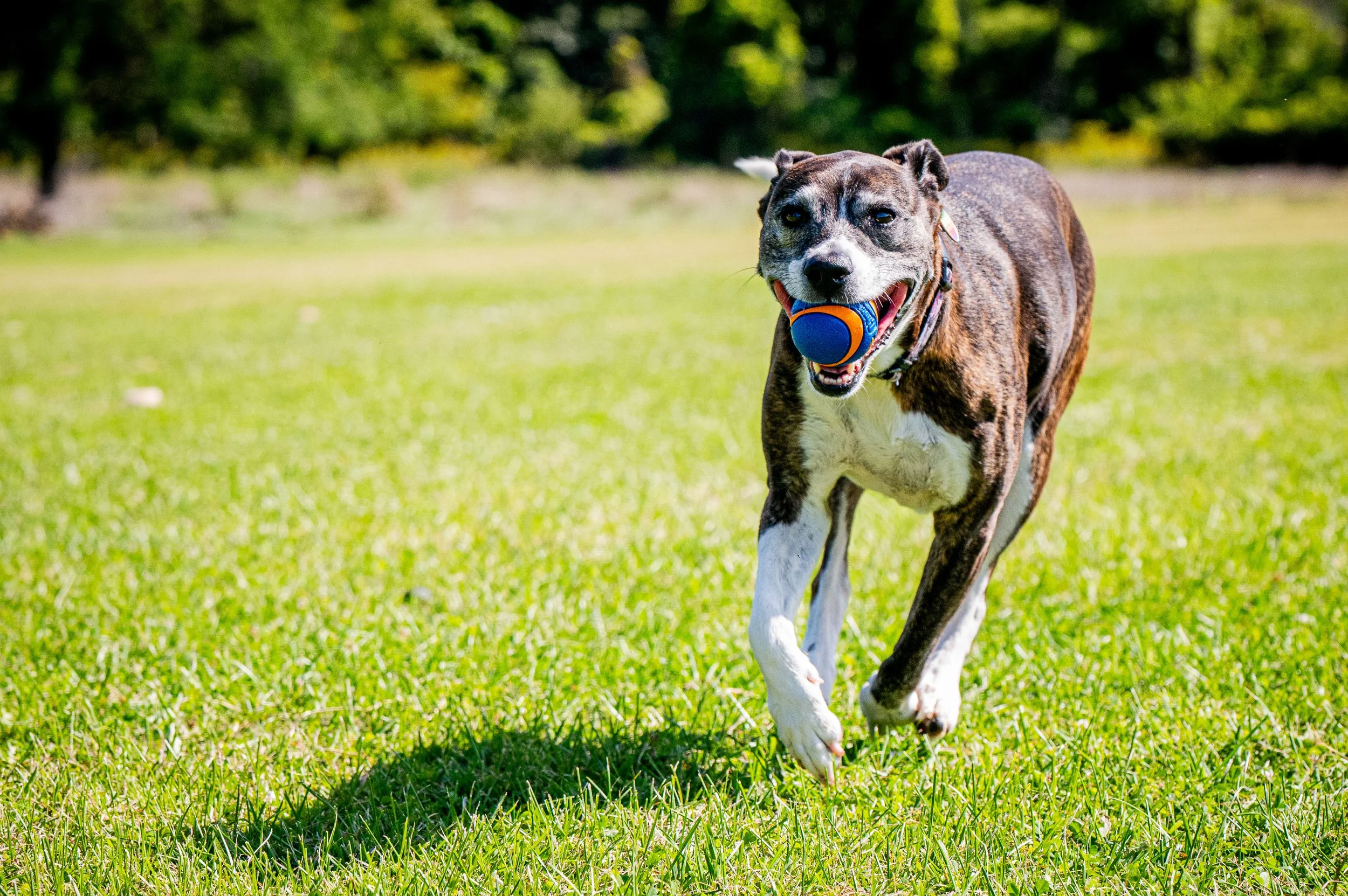 AMVPhotographs.com - AMV_1016.JPG