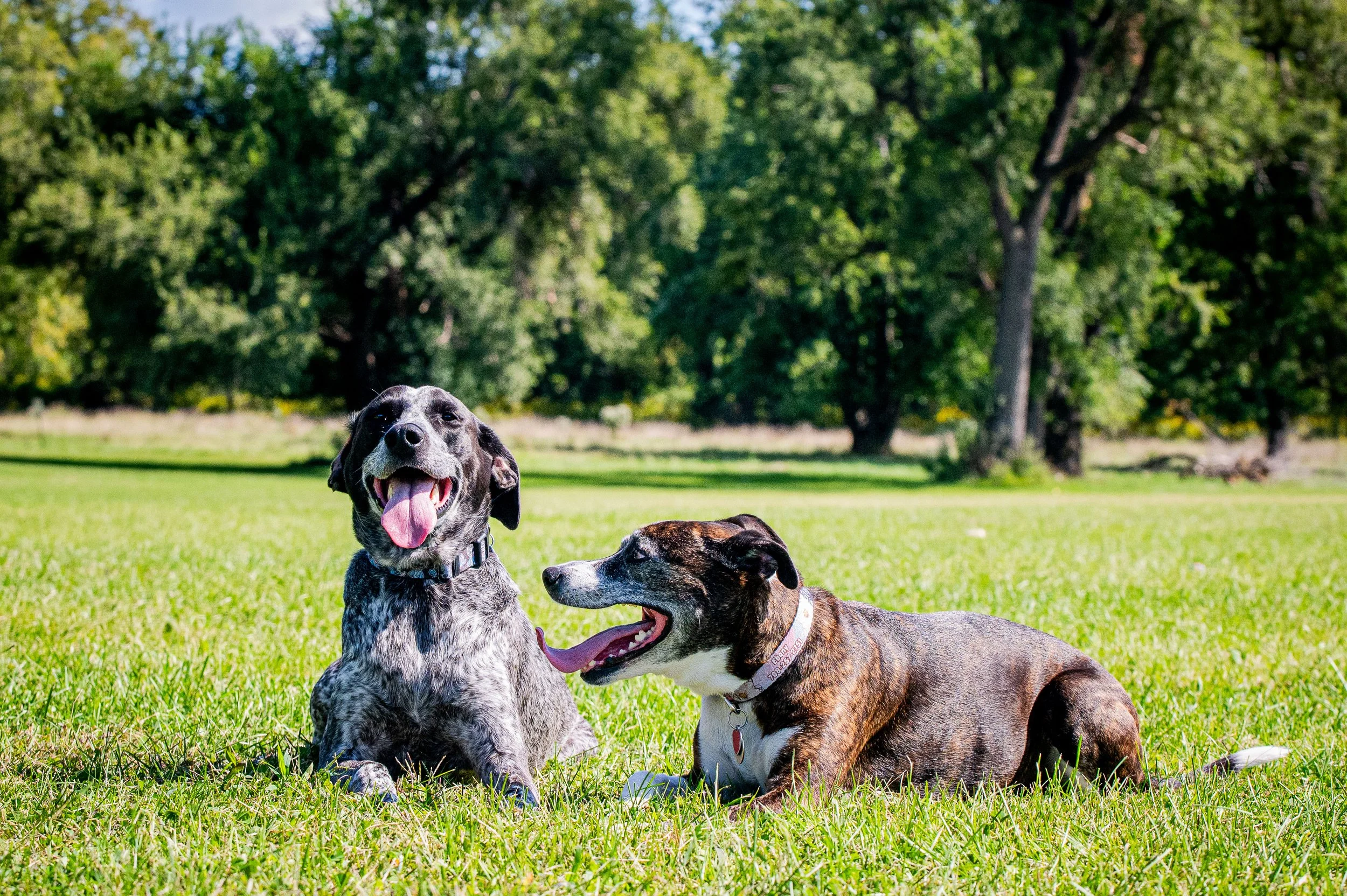 AMVPhotographs.com - AMV_1111.JPG