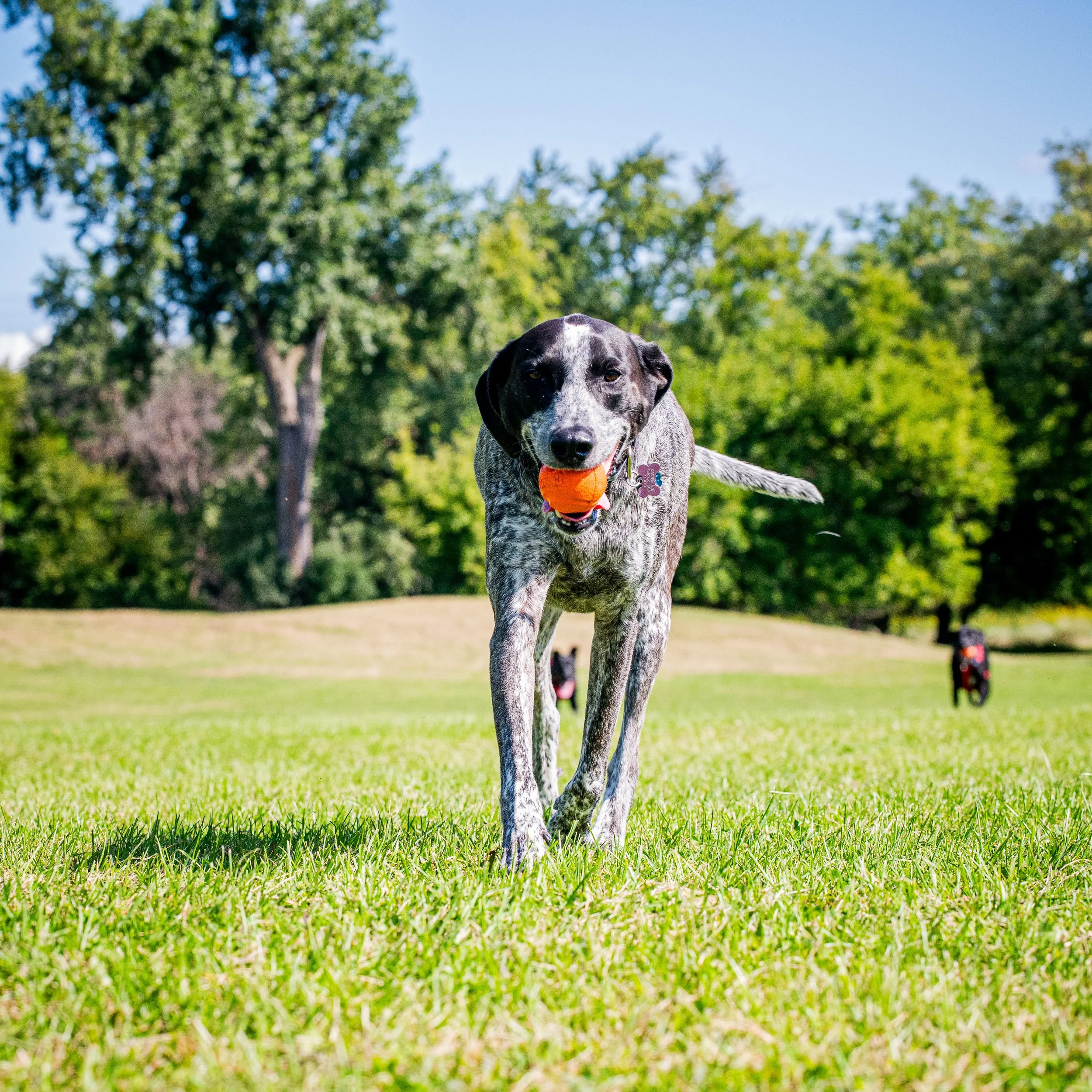 AMVPhotographs.com - AMV_1058.JPG