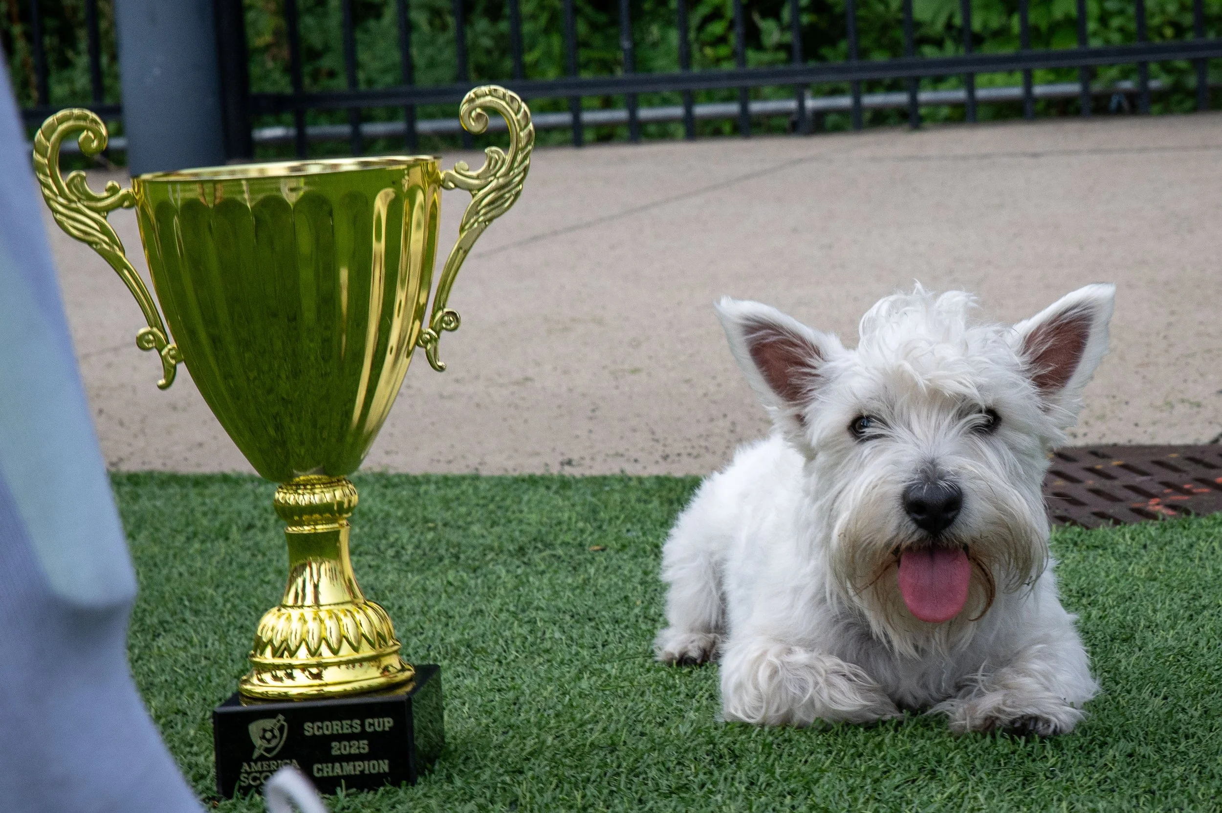 AMVPhotographs.com - AMV_8463.JPG