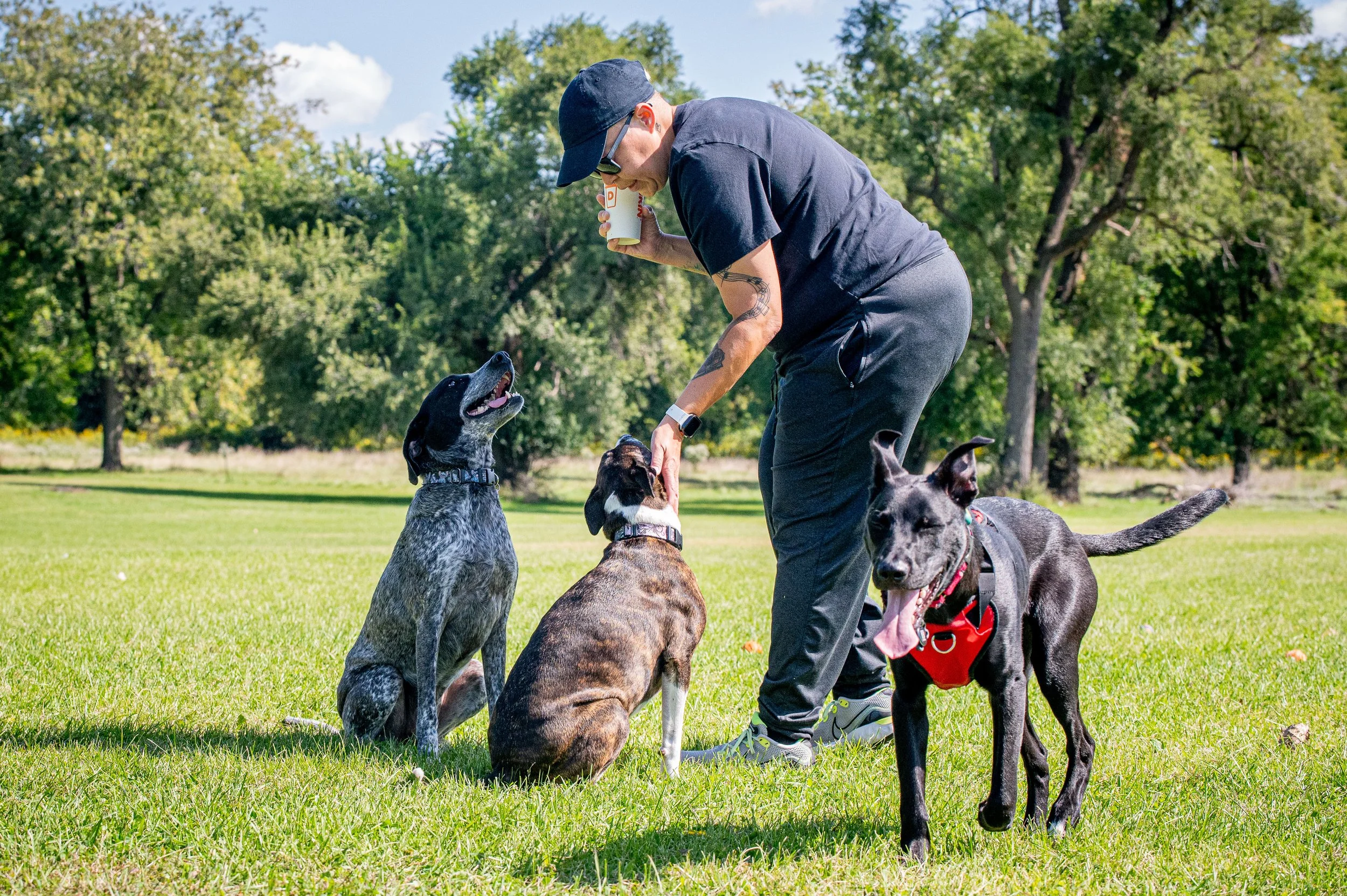 AMVPhotographs.com - AMV_1083.JPG