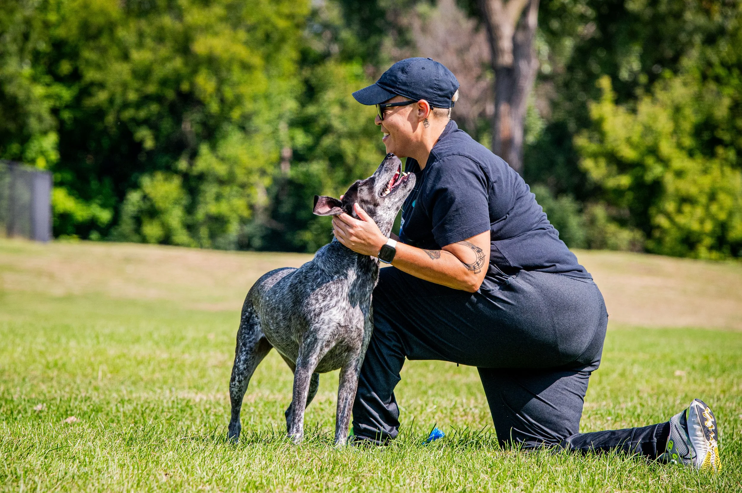 AMVPhotographs.com - AMV_1217.JPG