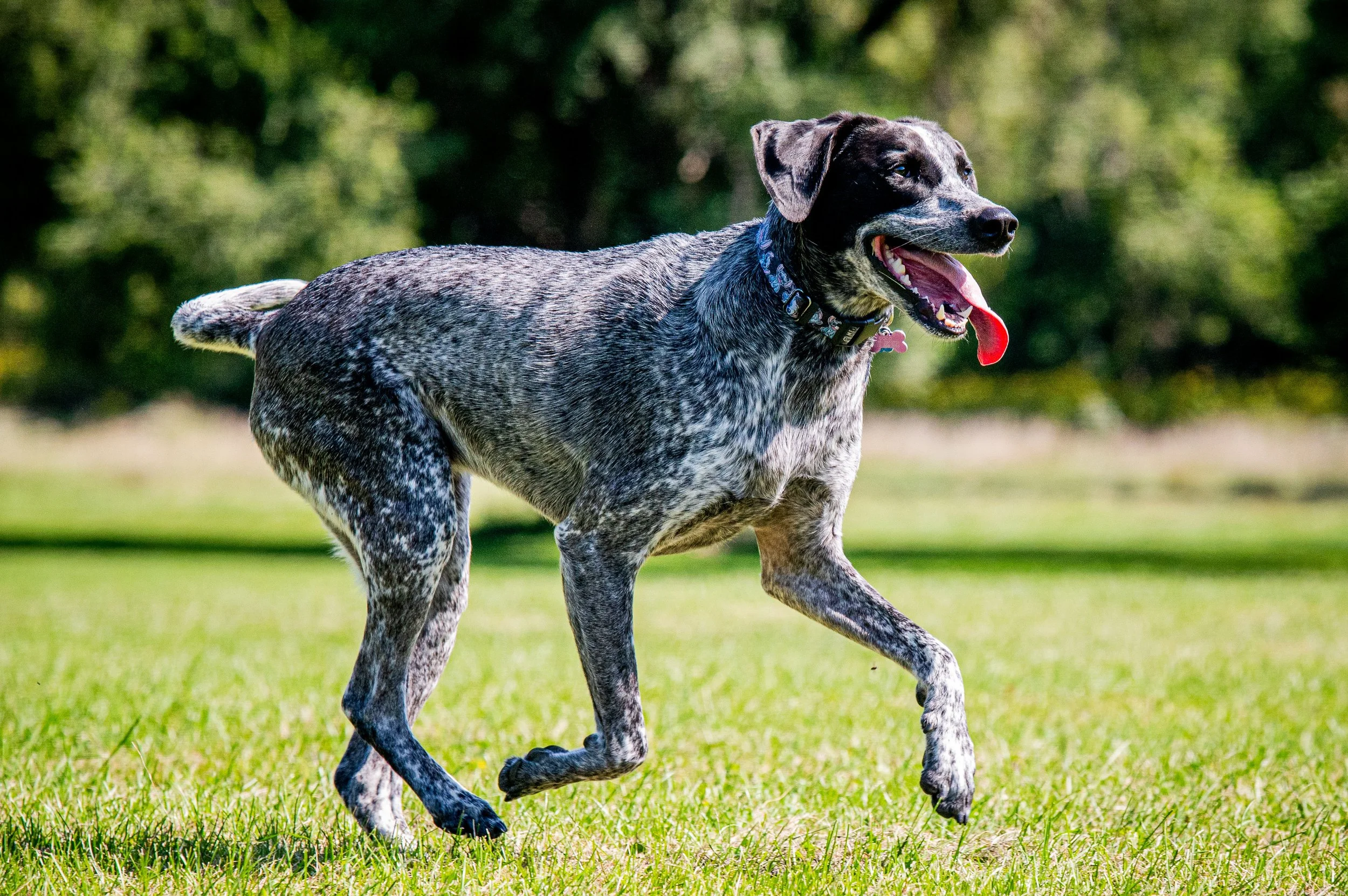 AMVPhotographs.com - AMV_1165.JPG