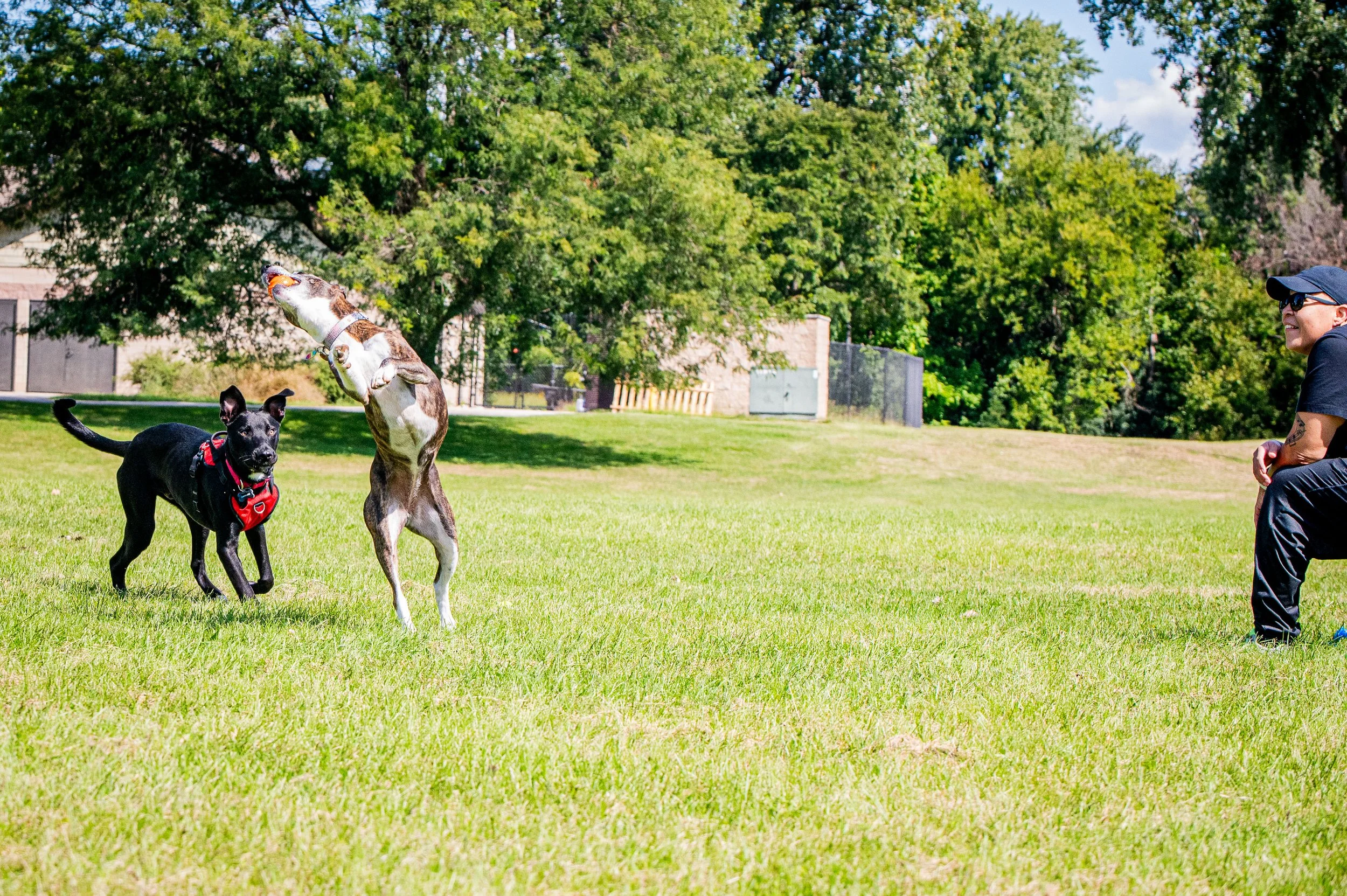 AMVPhotographs.com - AMV_1223.JPG