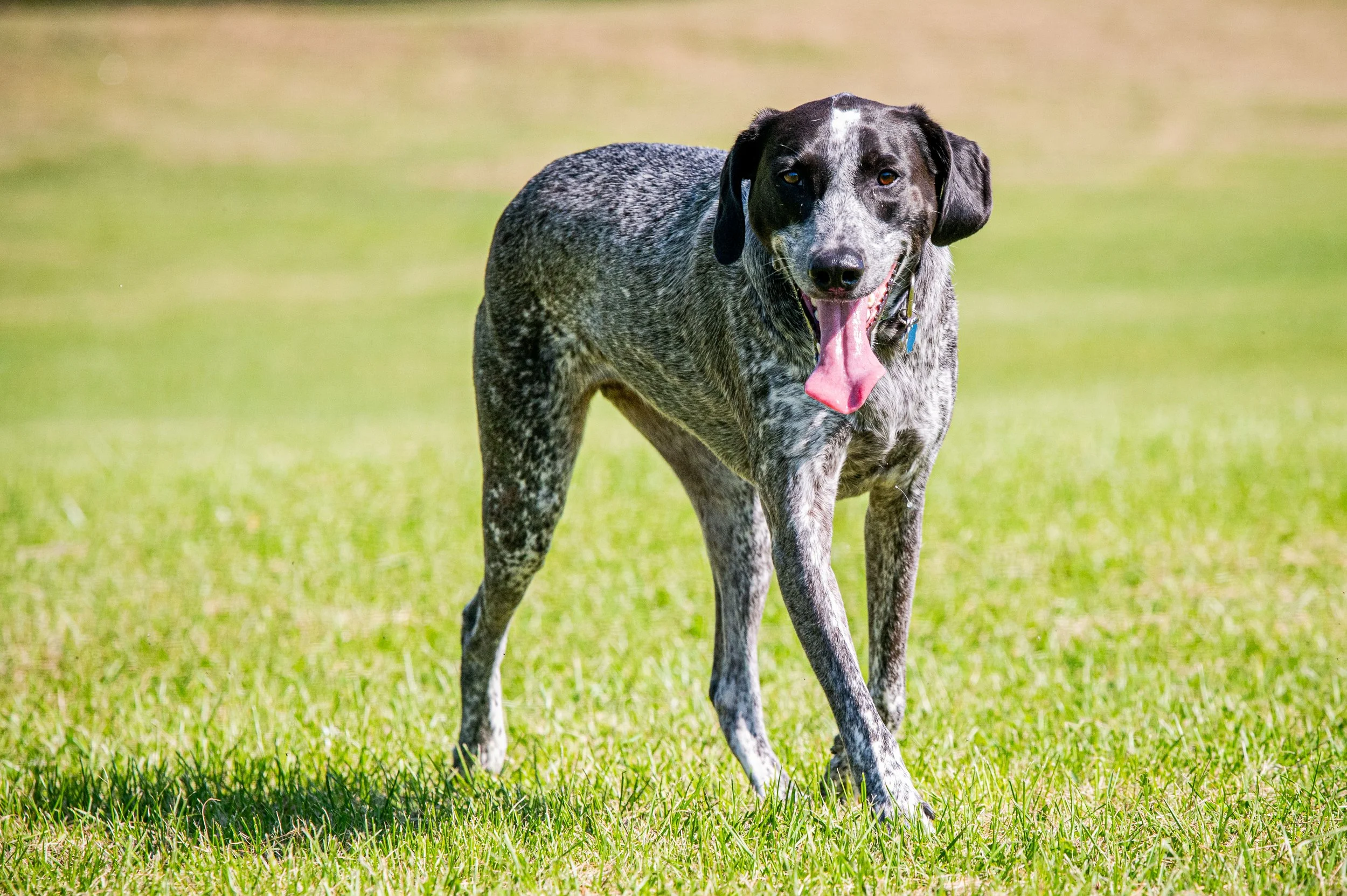 AMVPhotographs.com - AMV_1040.JPG