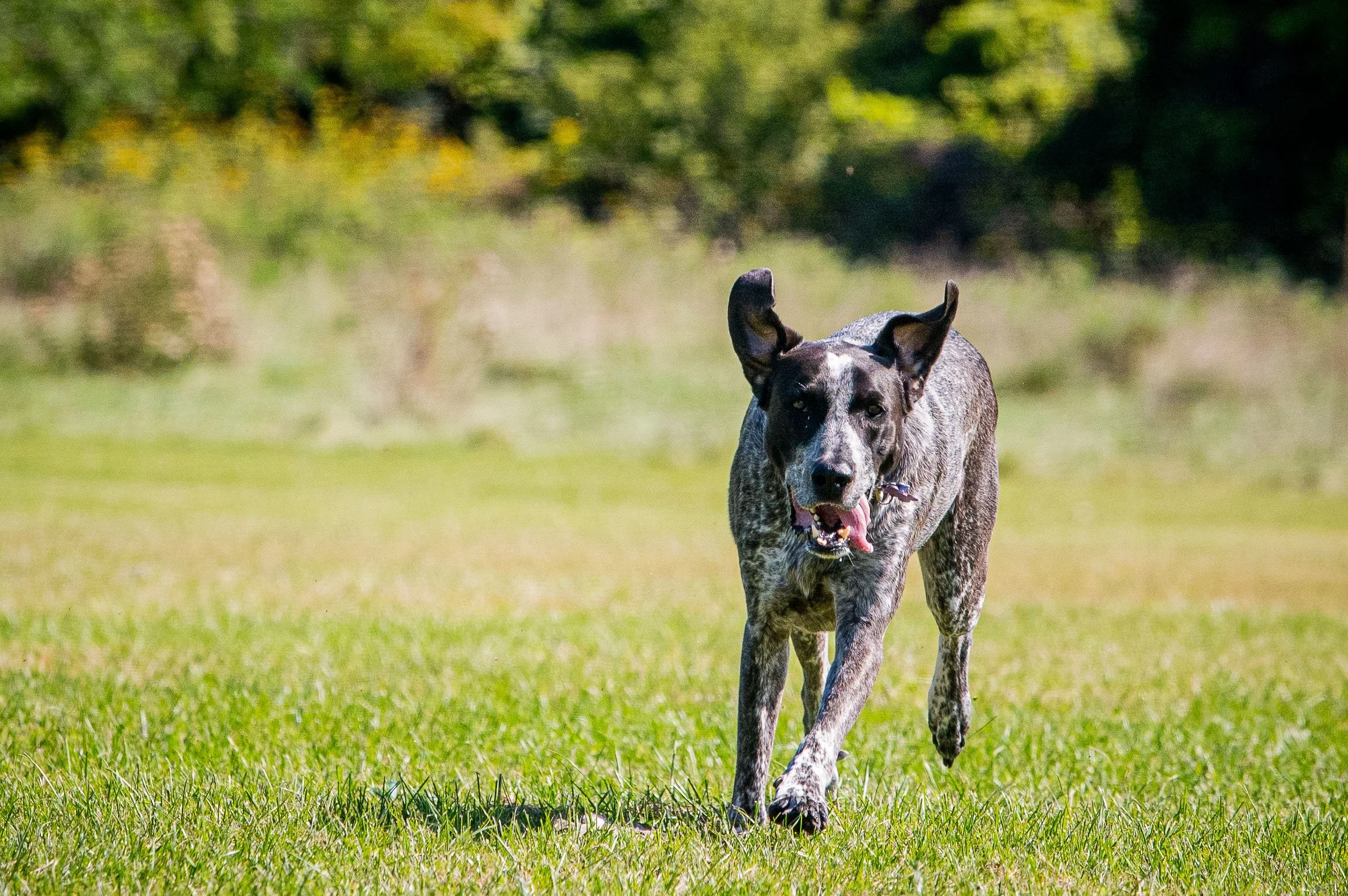 AMVPhotographs.com - AMV_0975.JPG