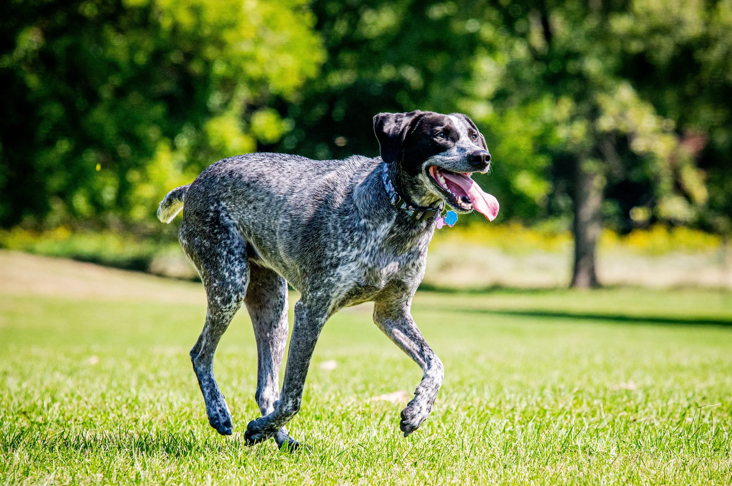 AMVPhotographs.com - AMV_1162.JPG