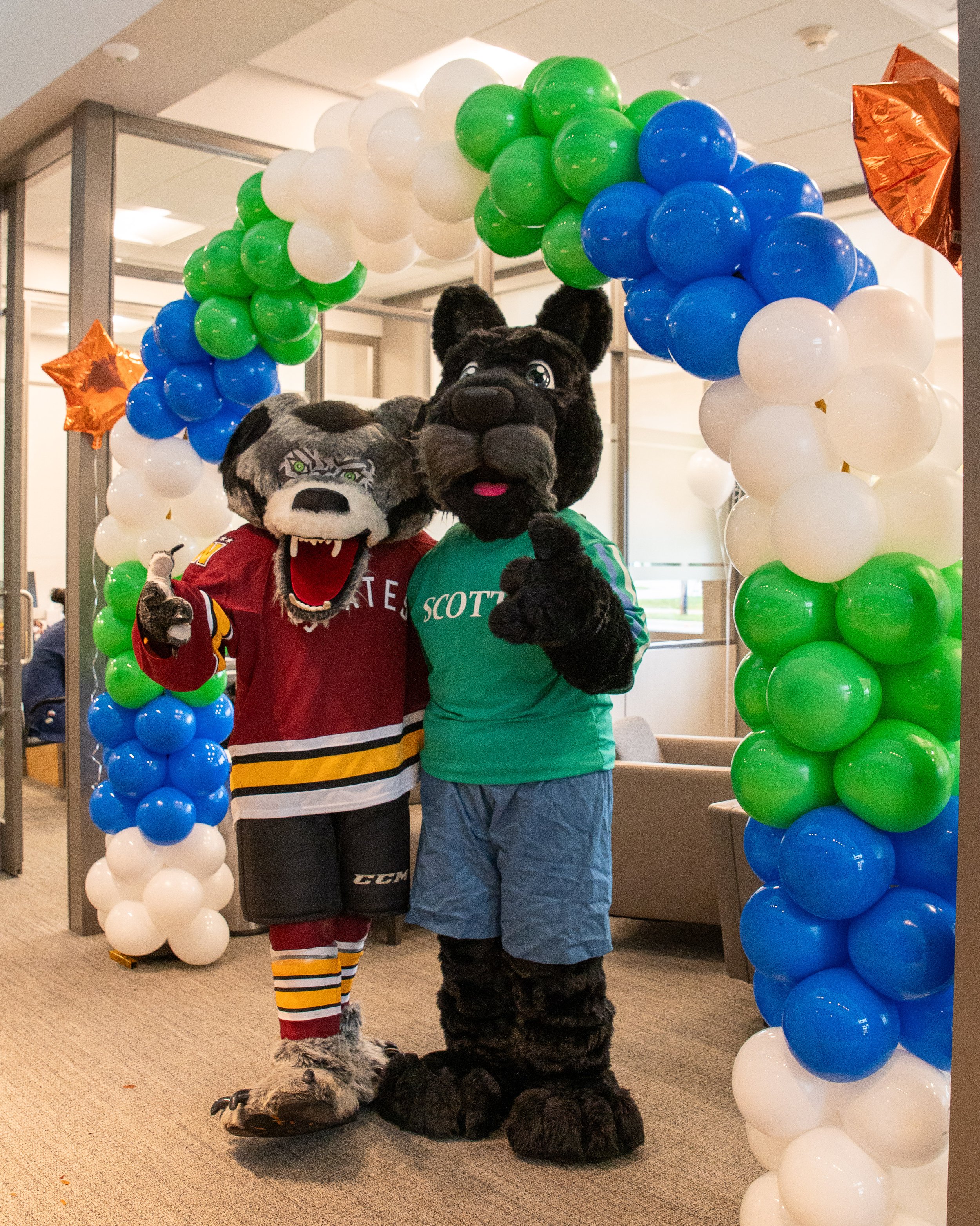 AMVPhotographs.com - AMV_3871.JPG