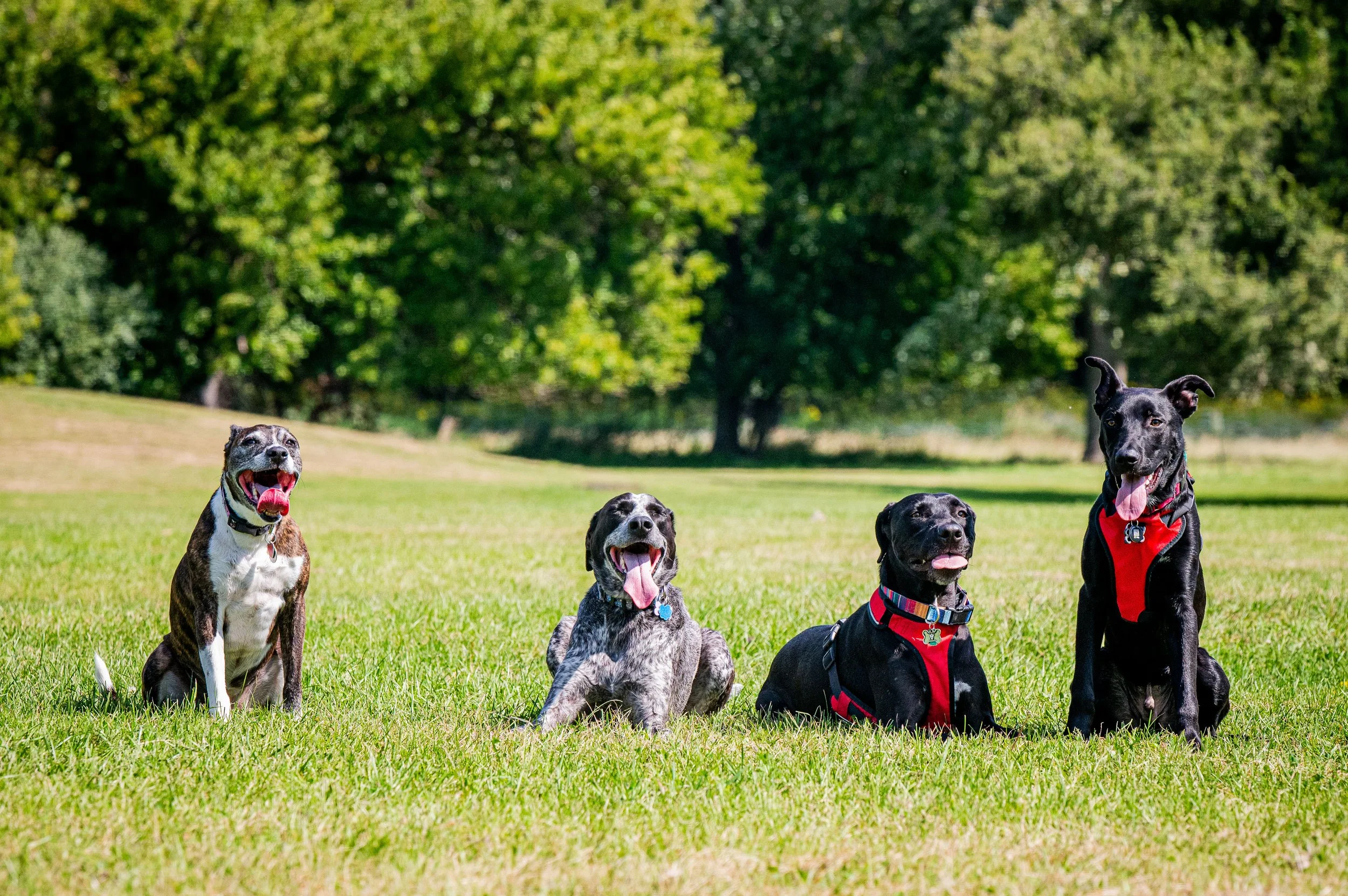 AMVPhotographs.com - AMV_1273.JPG