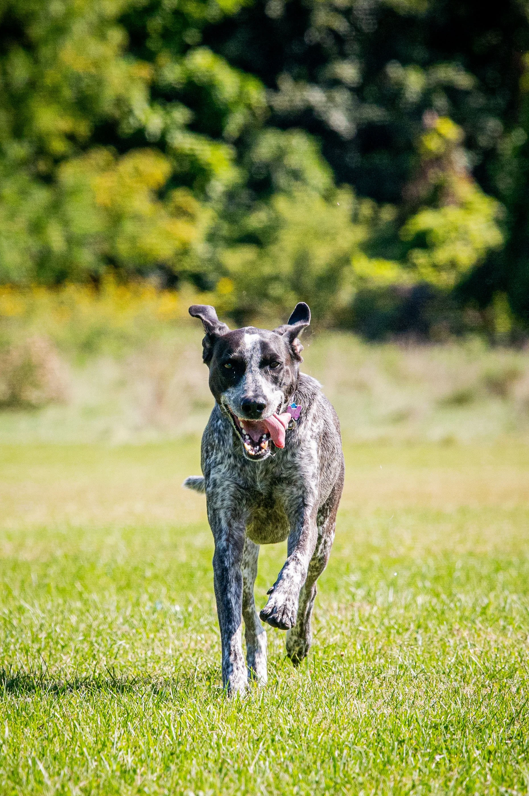 AMVPhotographs.com - AMV_0978.JPG