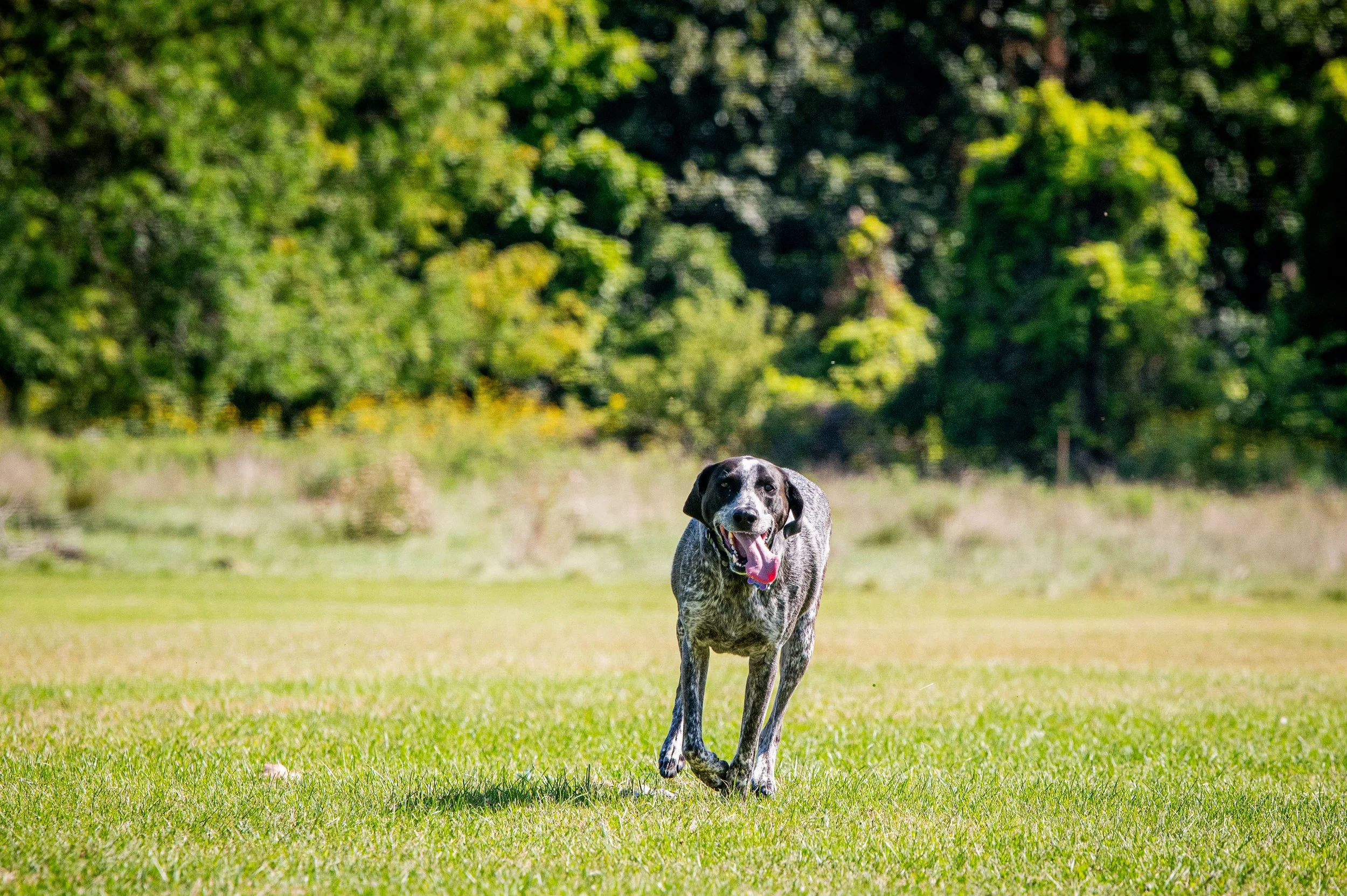 AMVPhotographs.com - AMV_0976.JPG