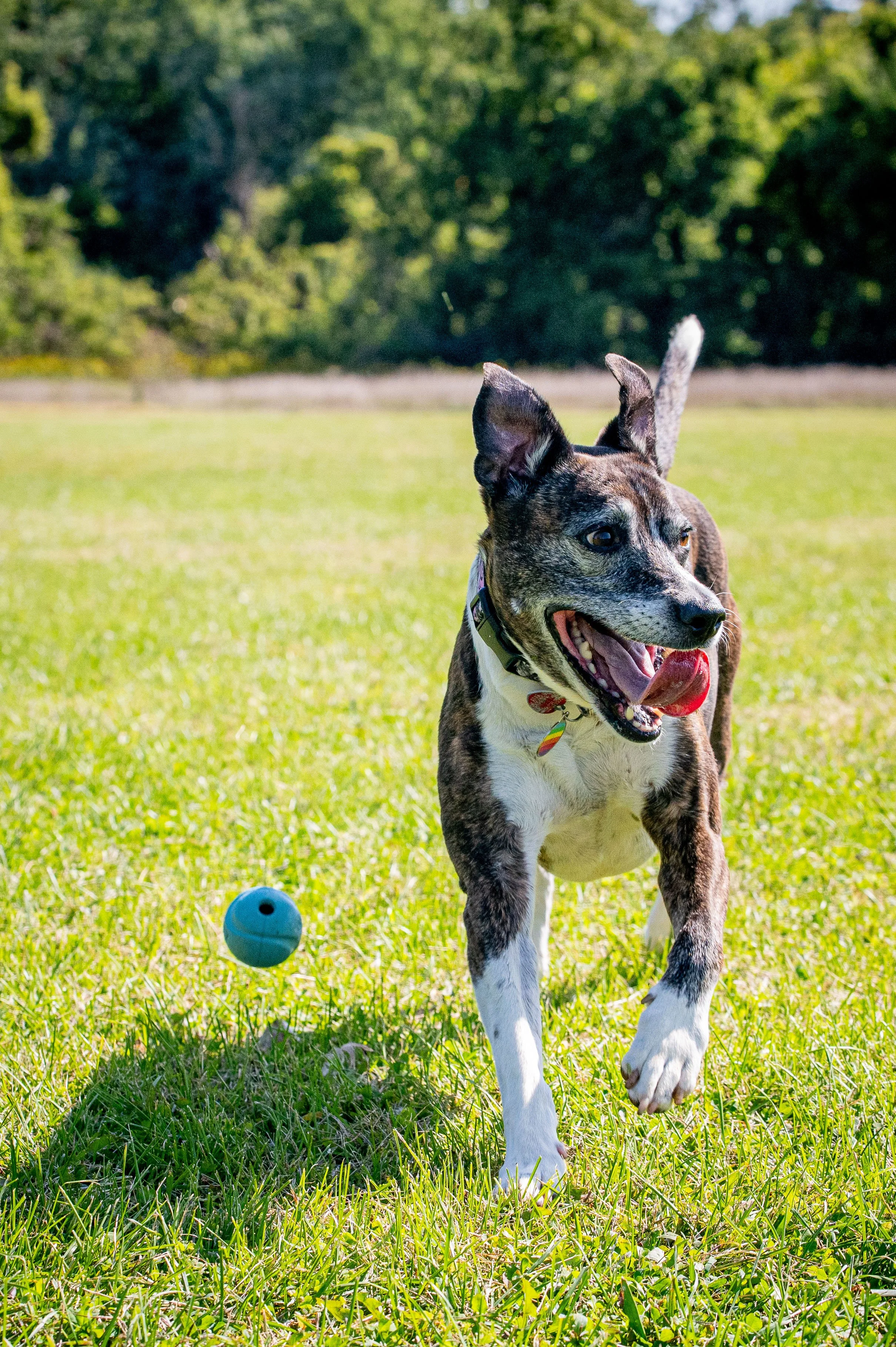 AMVPhotographs.com - AMV_0953.JPG