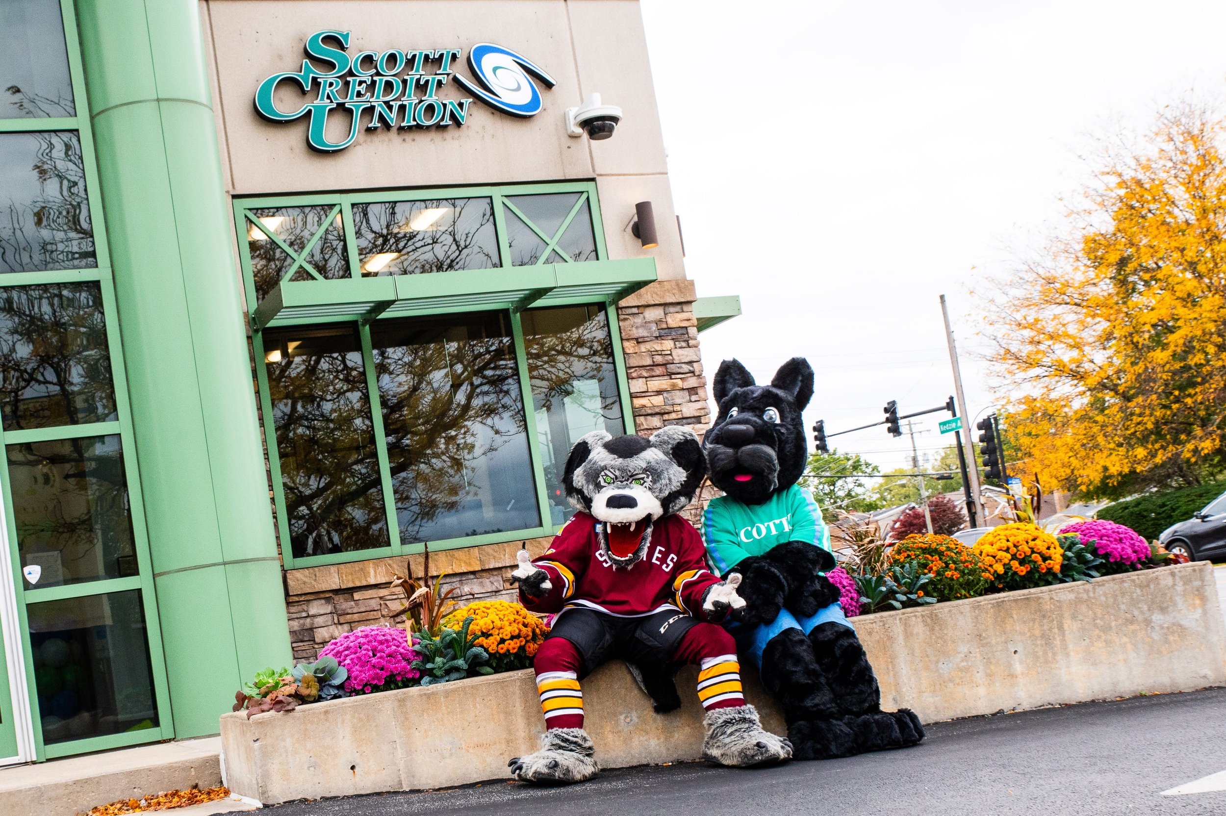 AMVPhotographs.com - AMV_4263.JPG