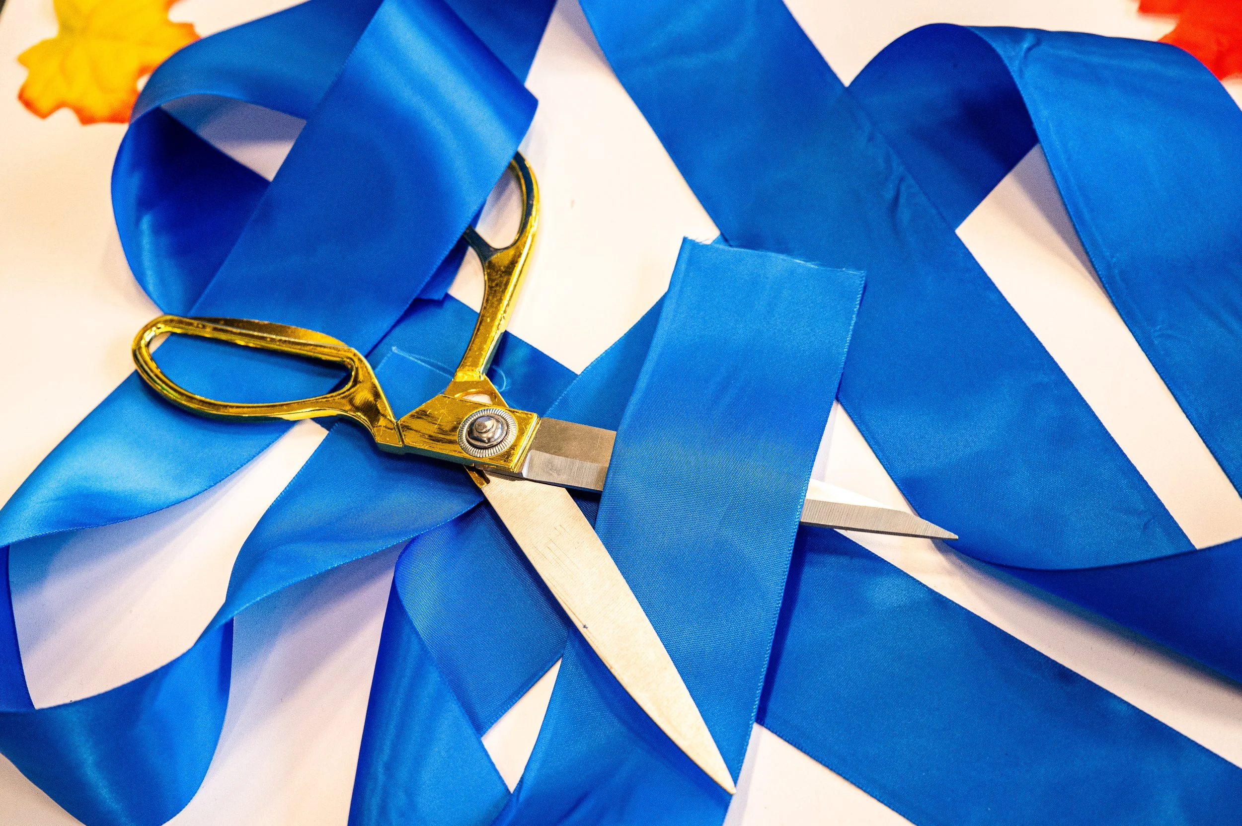 AMVPhotographs.com - AMV_4398.JPG