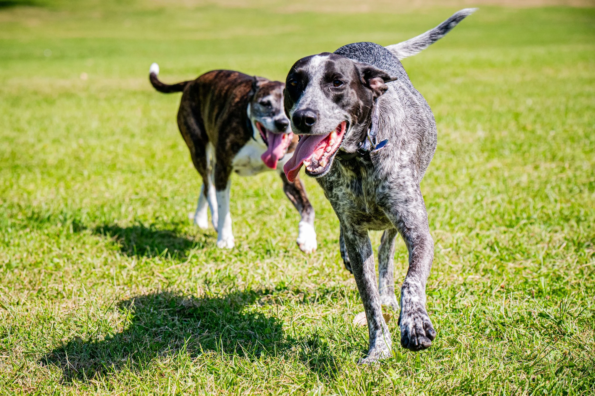 AMVPhotographs.com - AMV_1124.JPG