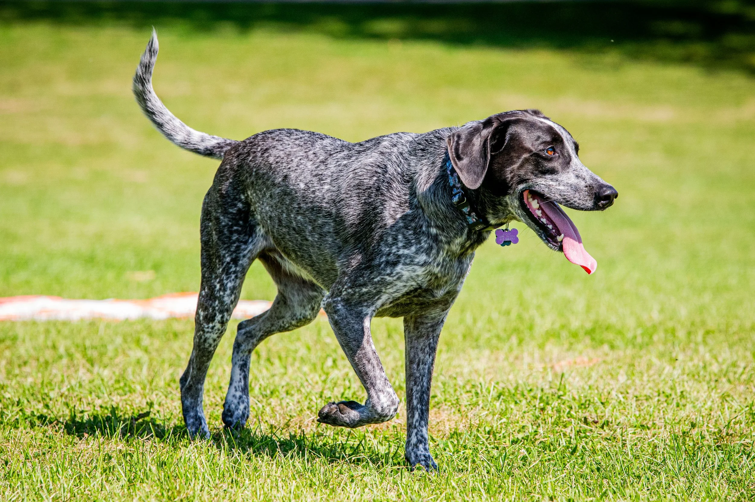 AMVPhotographs.com - AMV_1044.JPG