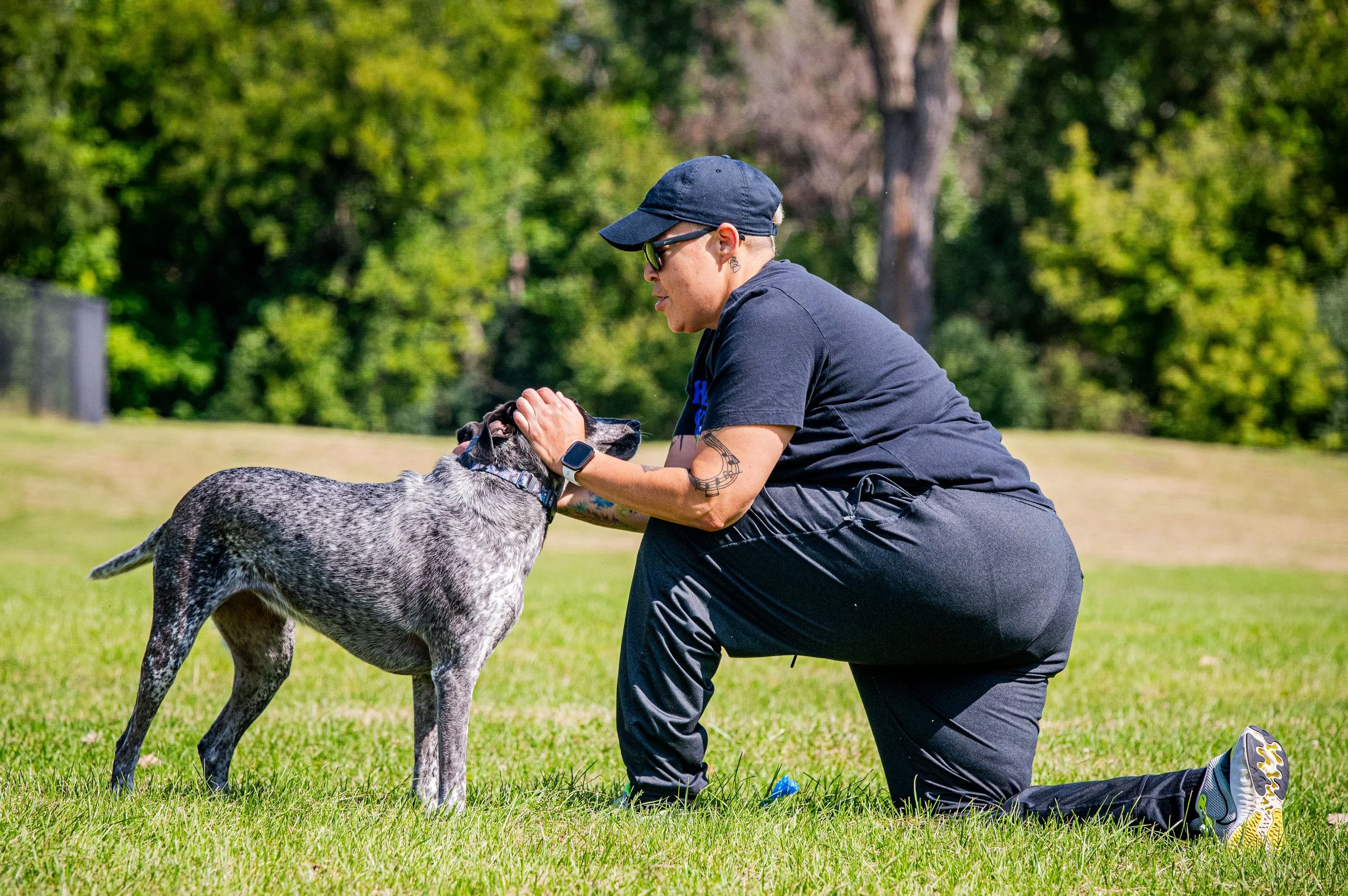 AMVPhotographs.com - AMV_1210.JPG