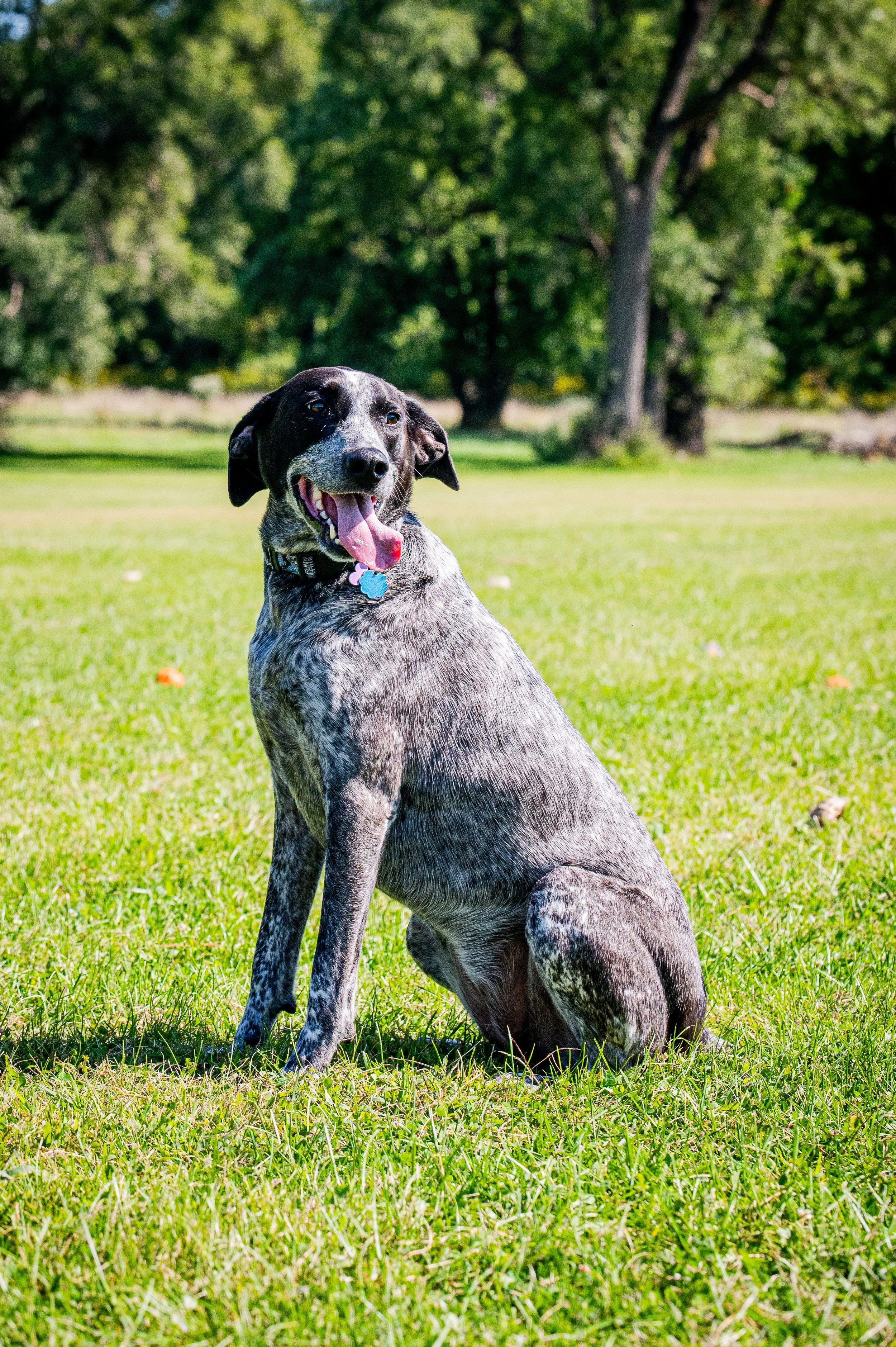 AMVPhotographs.com - AMV_1072.JPG