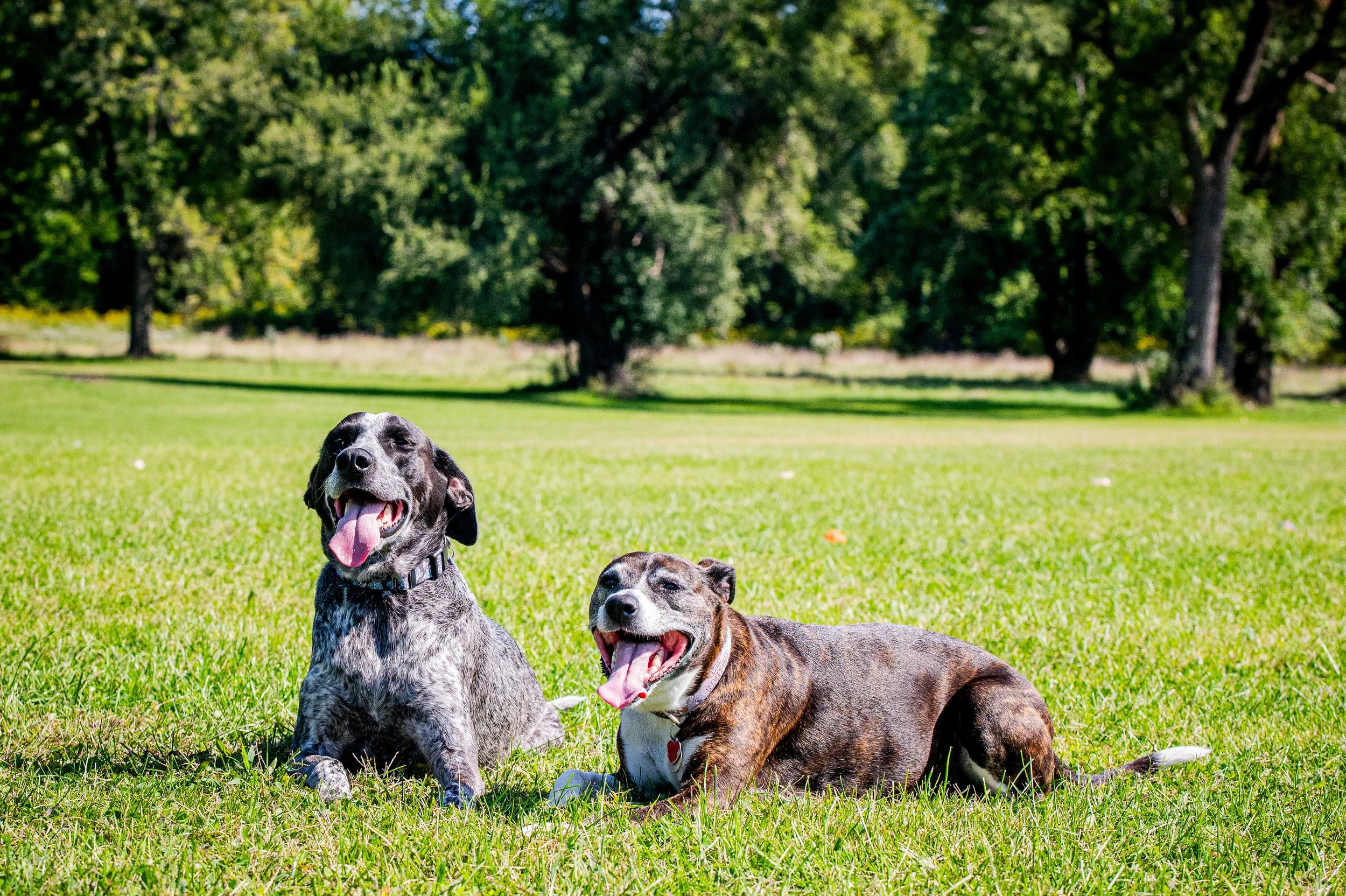 AMVPhotographs.com - AMV_1108.JPG