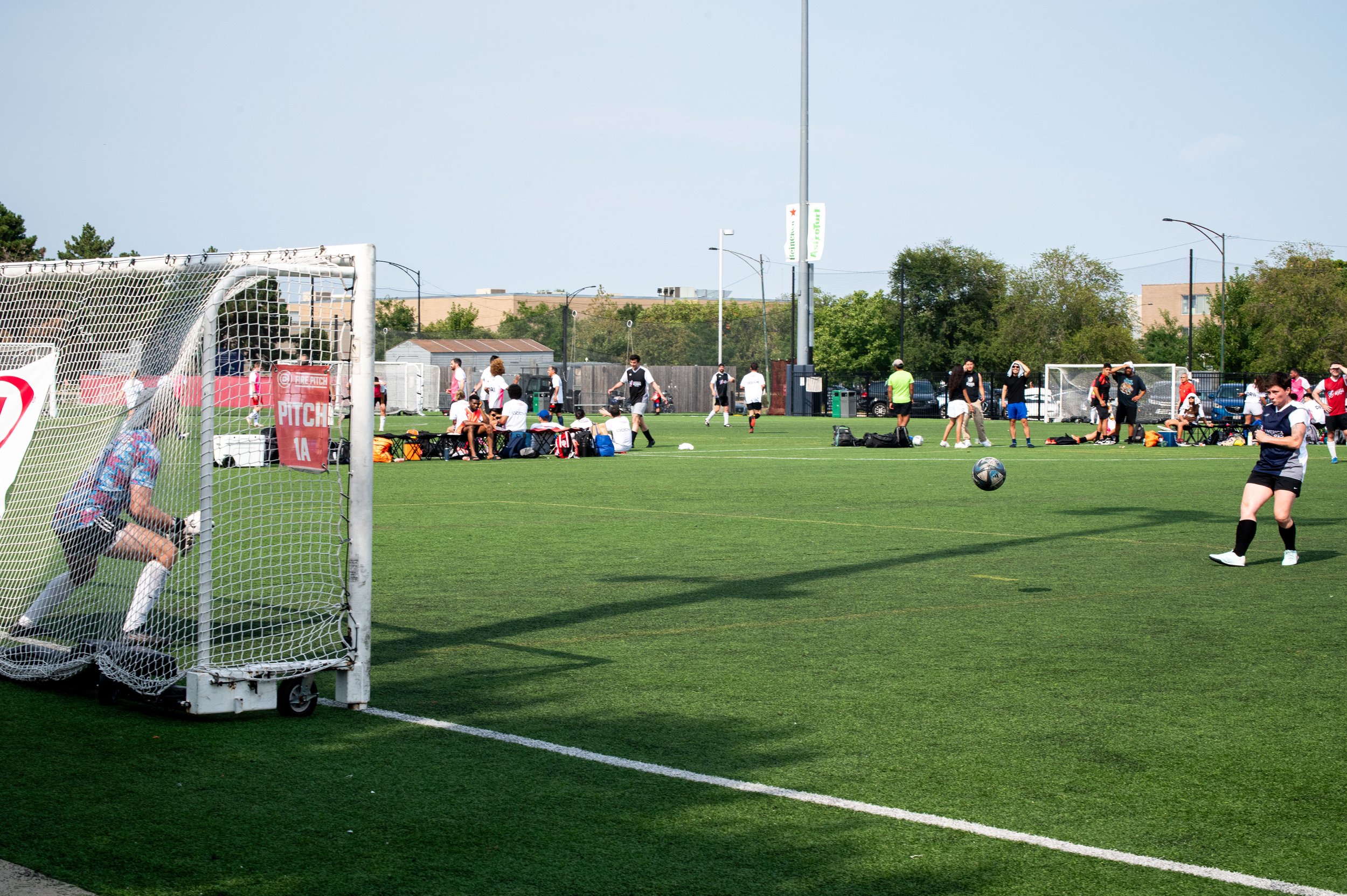 AMVPhotographs.com - AMV_8099.JPG