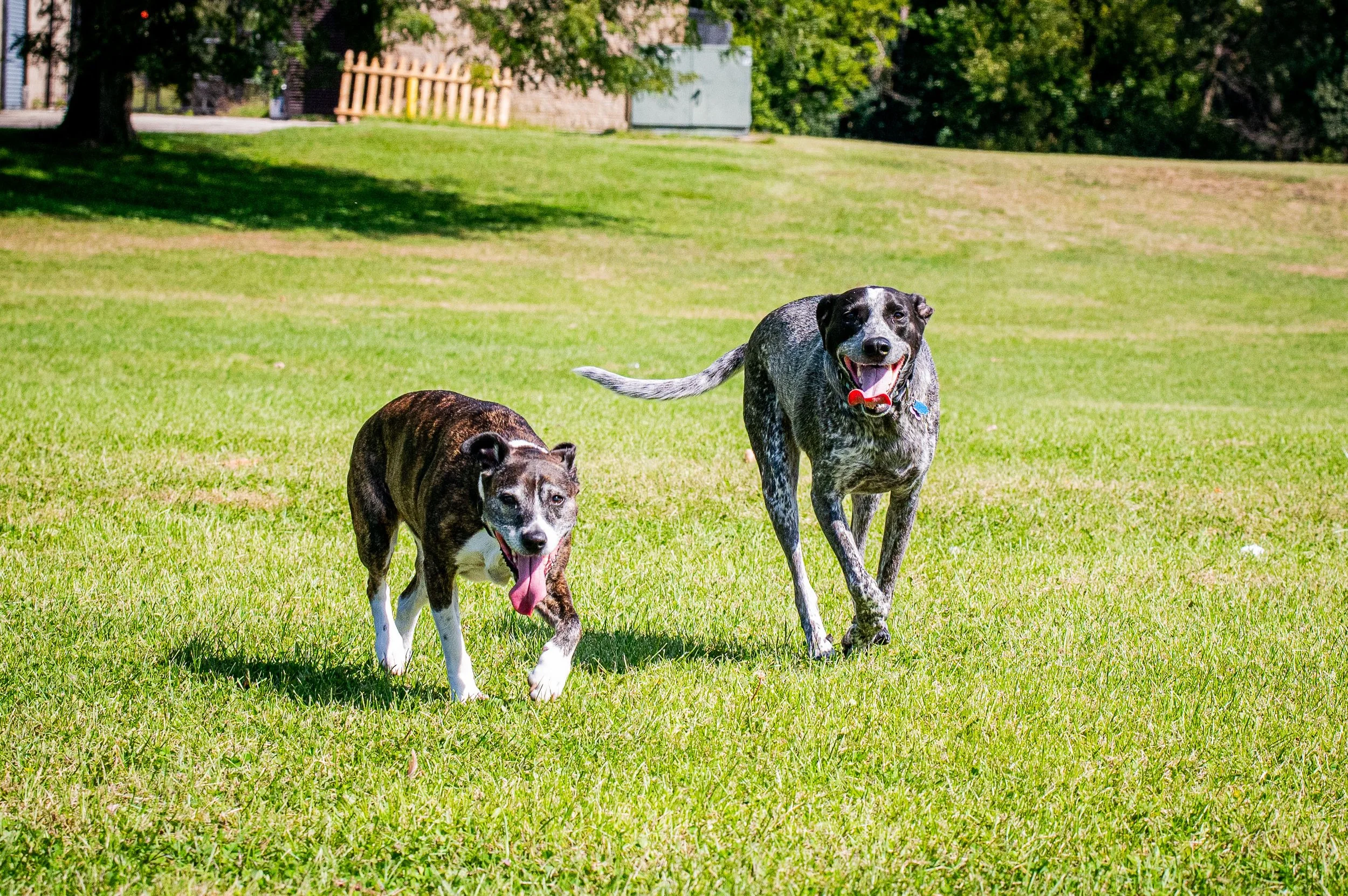 AMVPhotographs.com - AMV_1120.JPG