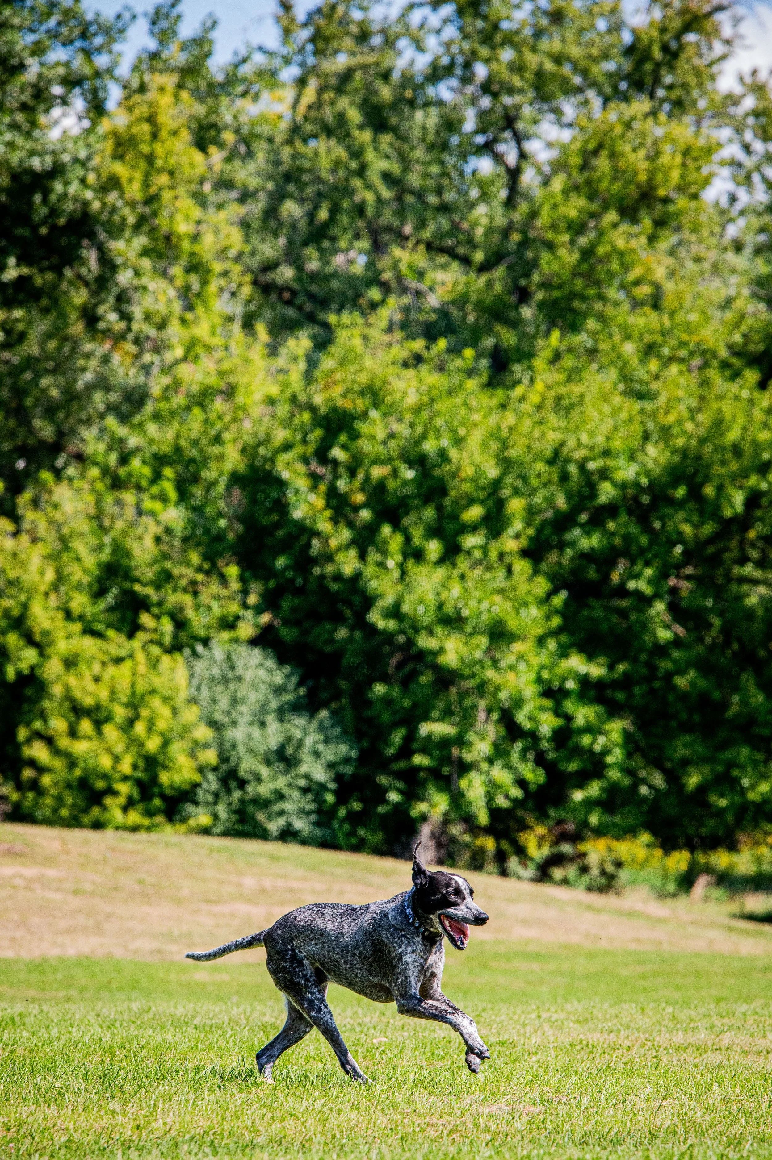 AMVPhotographs.com - AMV_1285.JPG